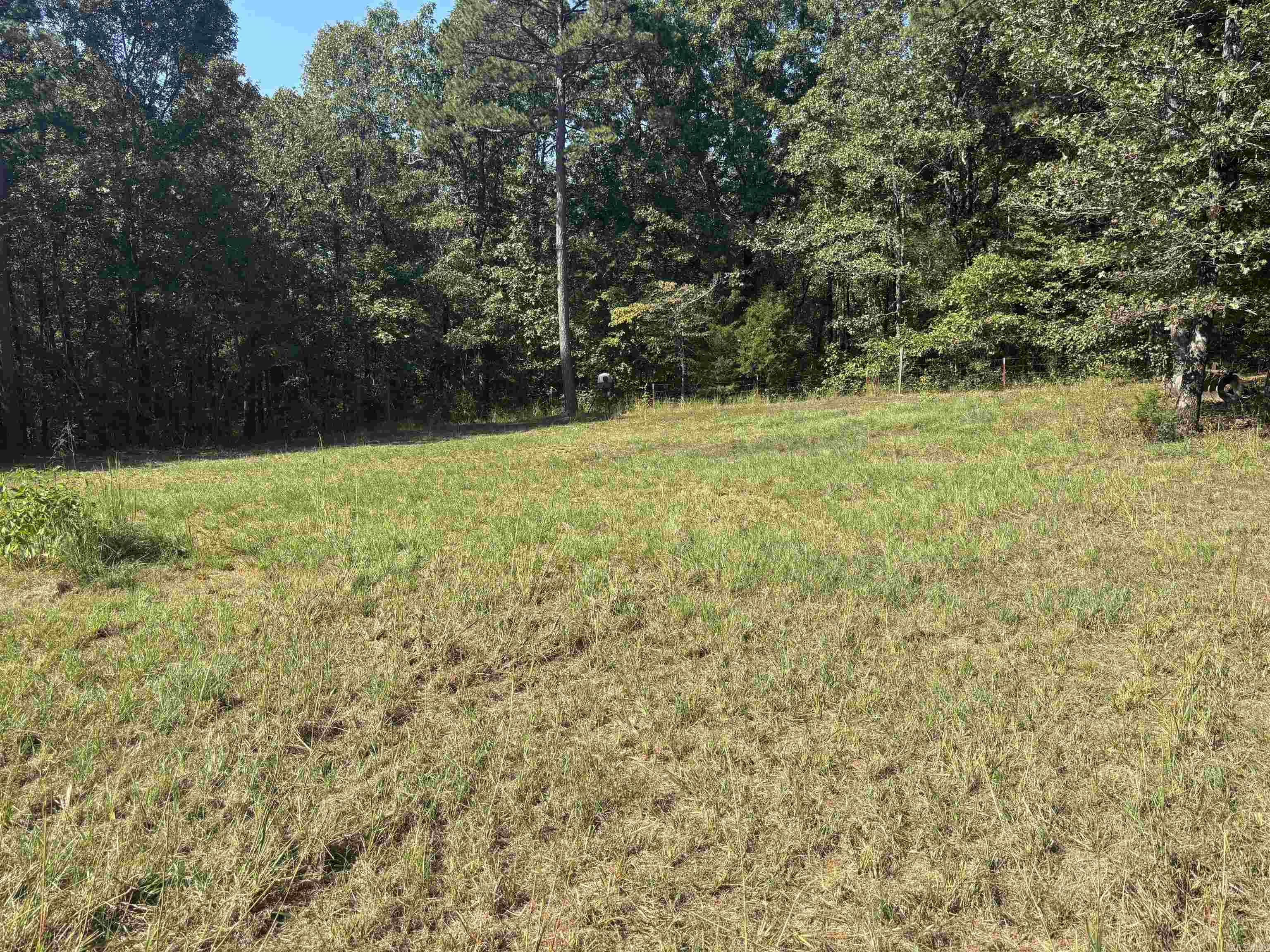 37211 Hwy 300 Property Photo 38