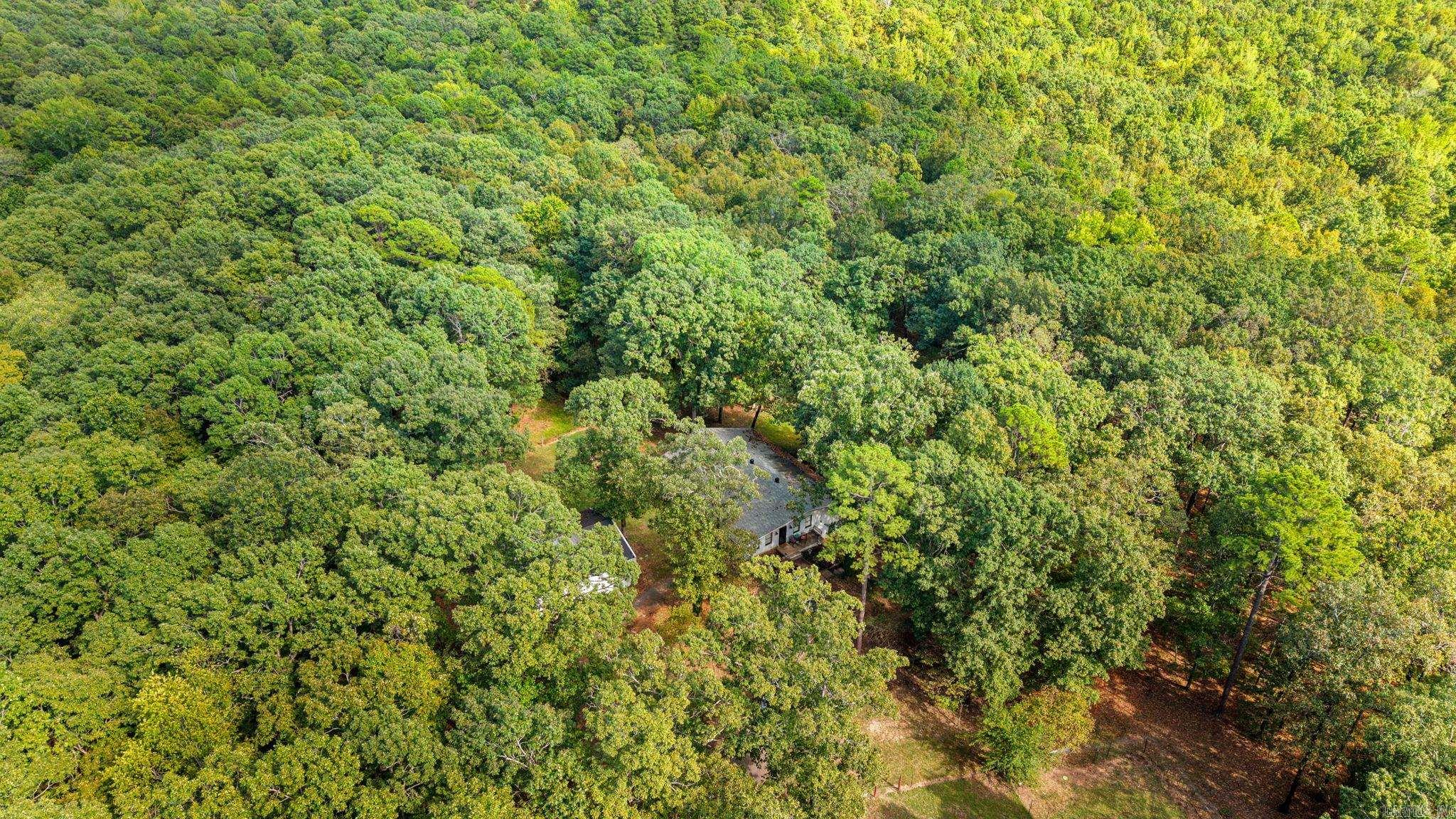 37211 Hwy 300 Property Photo 39