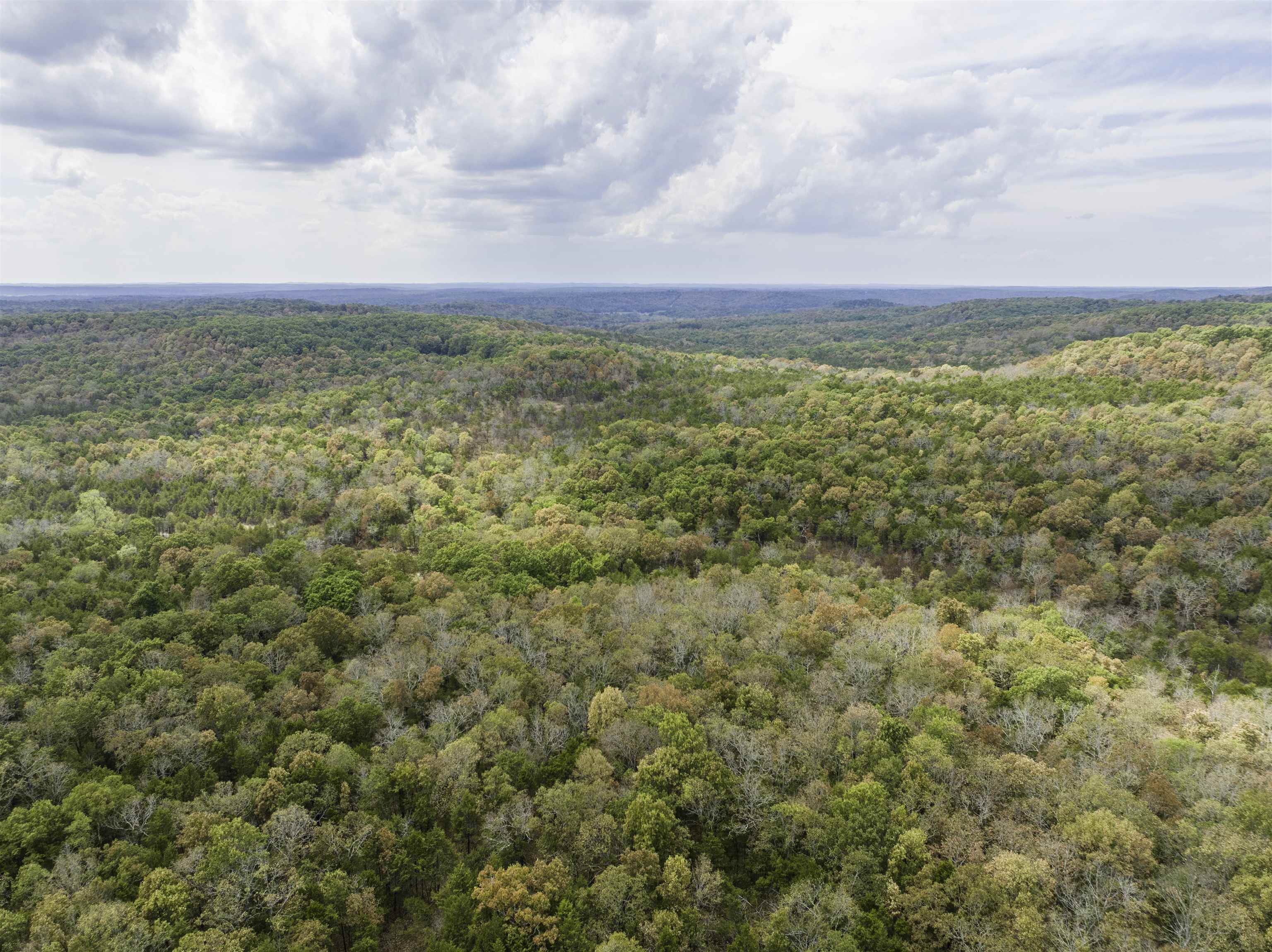 0000 Buck Ridge Lane Property Photo 1