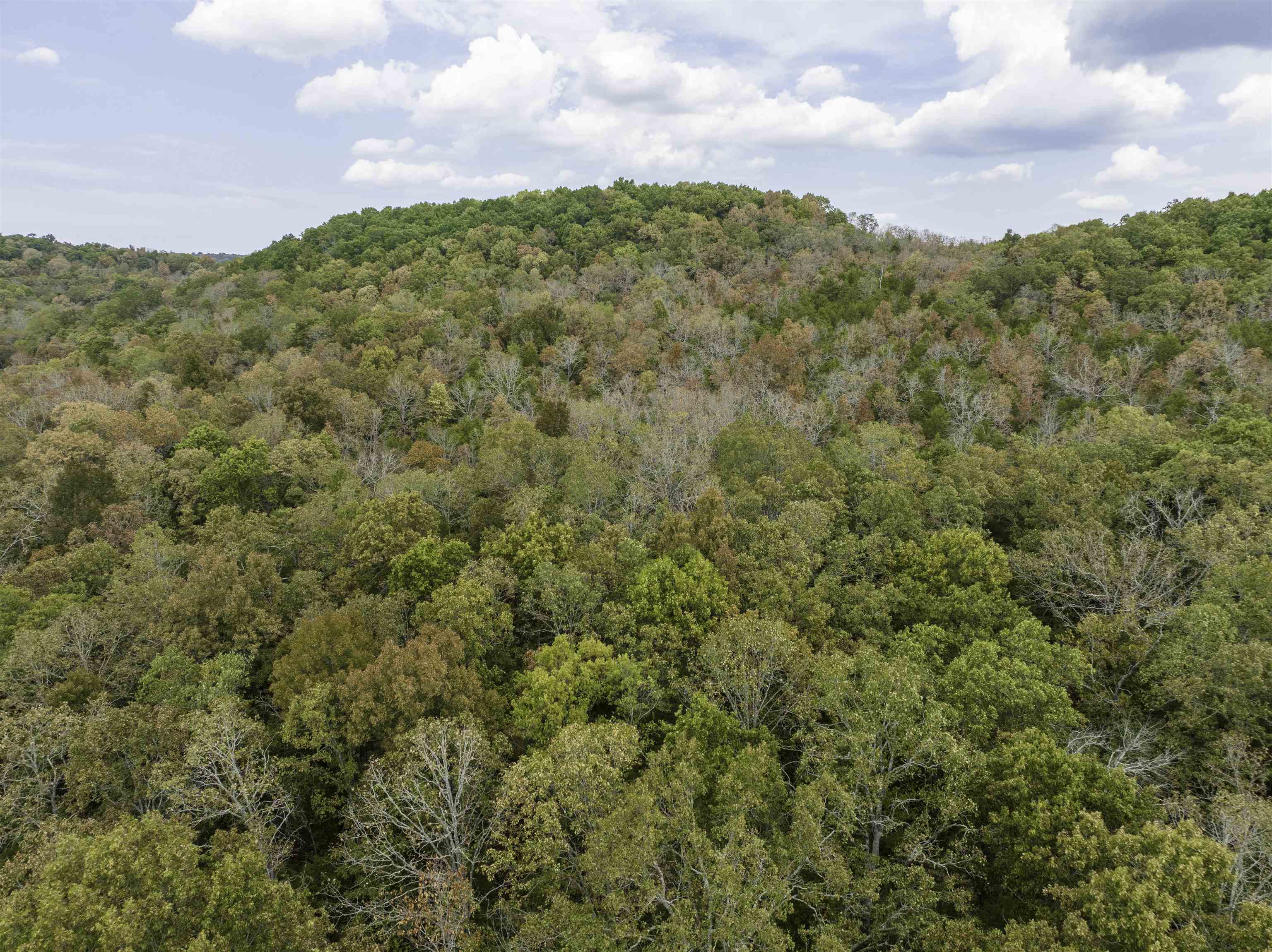 0000 Buck Ridge Lane Property Photo 3