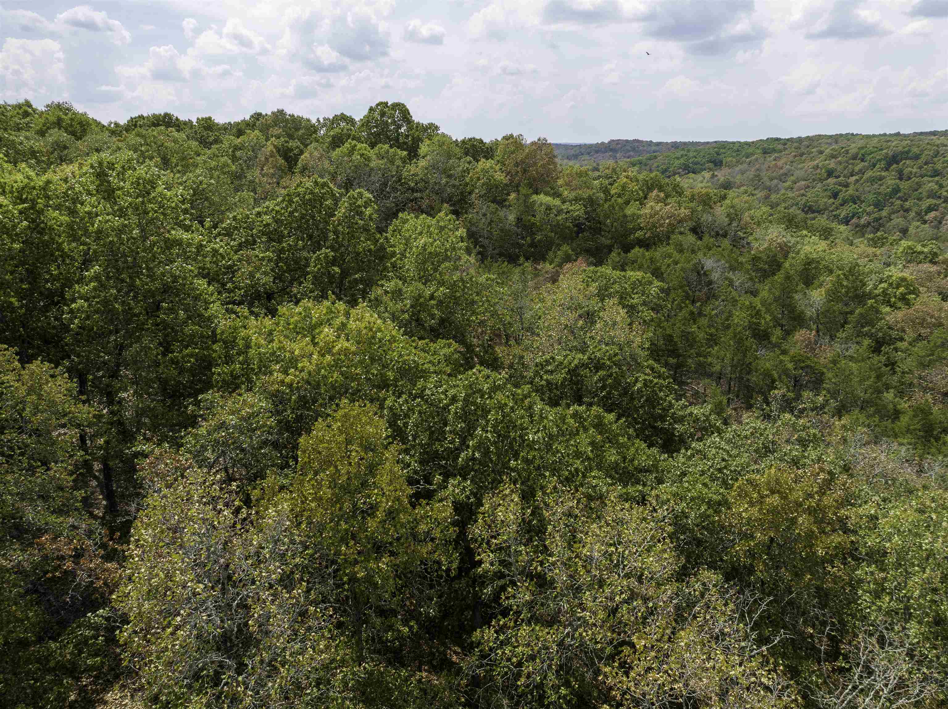 0000 Buck Ridge Lane Property Photo 4