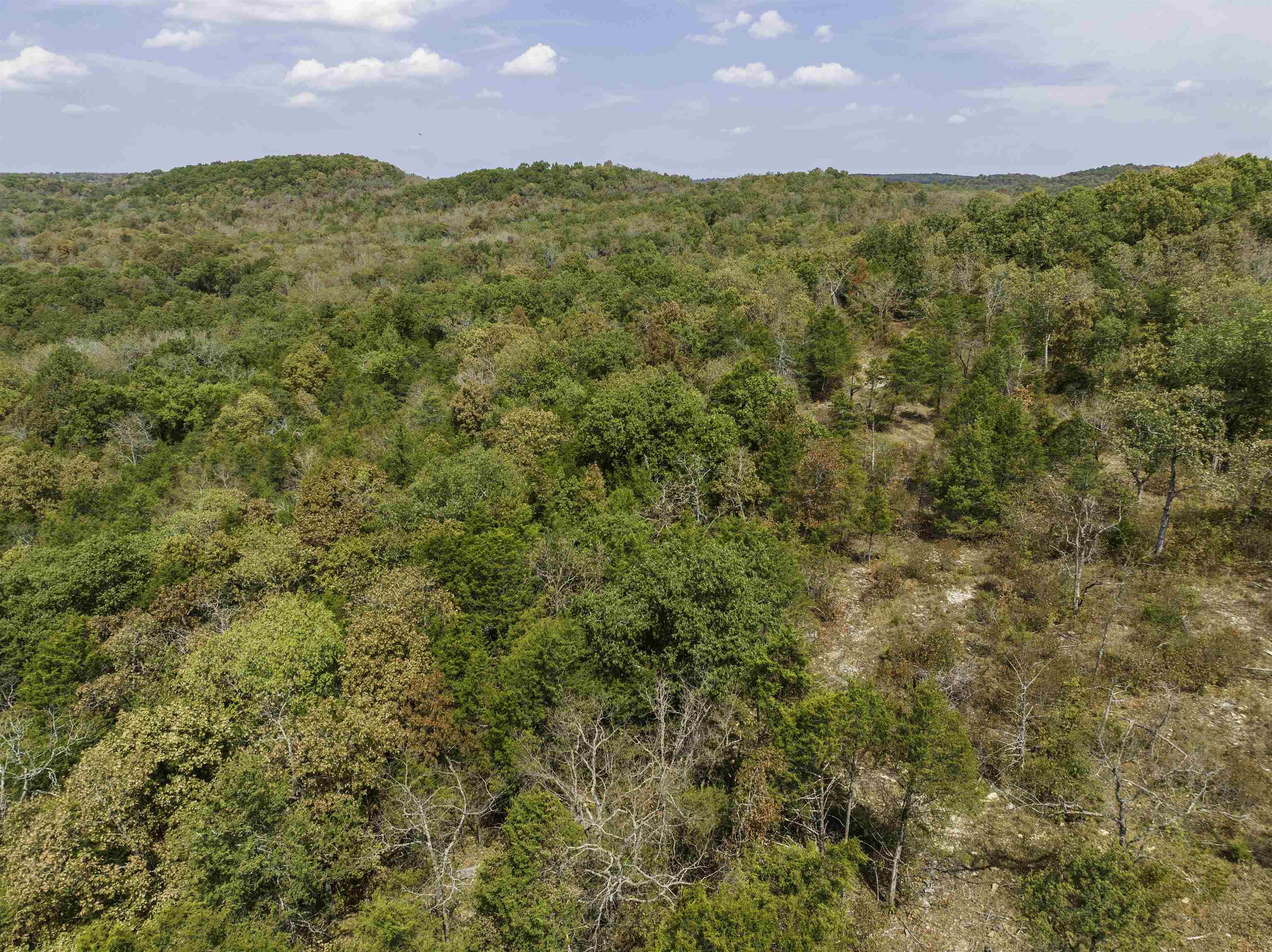 0000 Buck Ridge Lane Property Photo 6