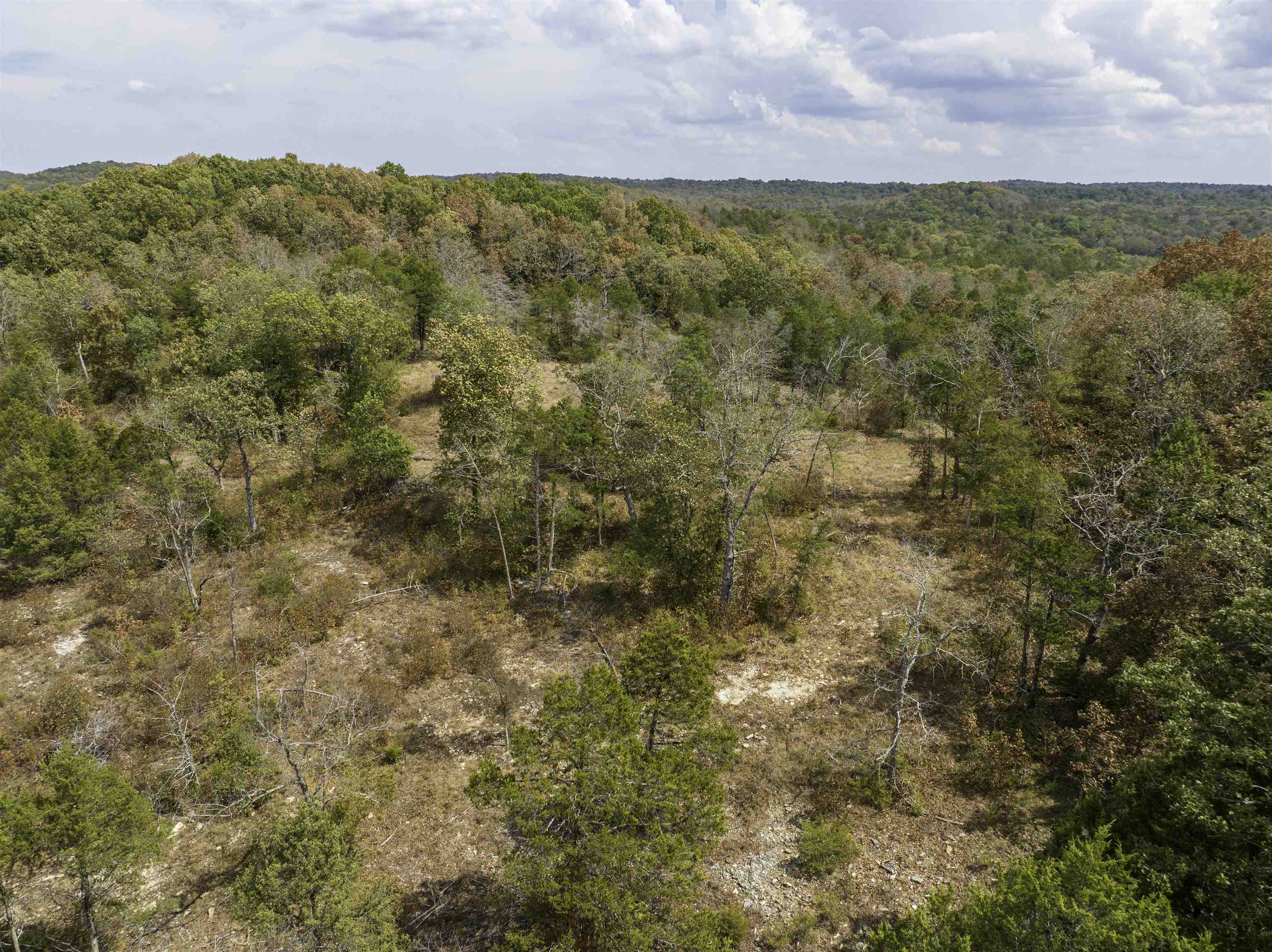 0000 Buck Ridge Lane Property Photo 7