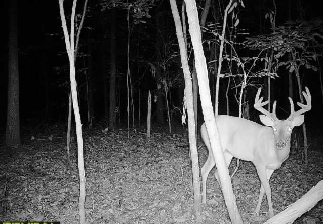 0000 Buck Ridge Lane Property Photo 10