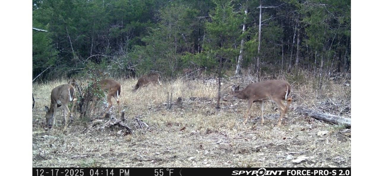 0000 Buck Ridge Lane Property Photo 16