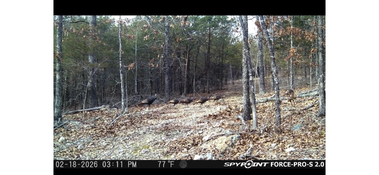 0000 Buck Ridge Lane Property Photo 17