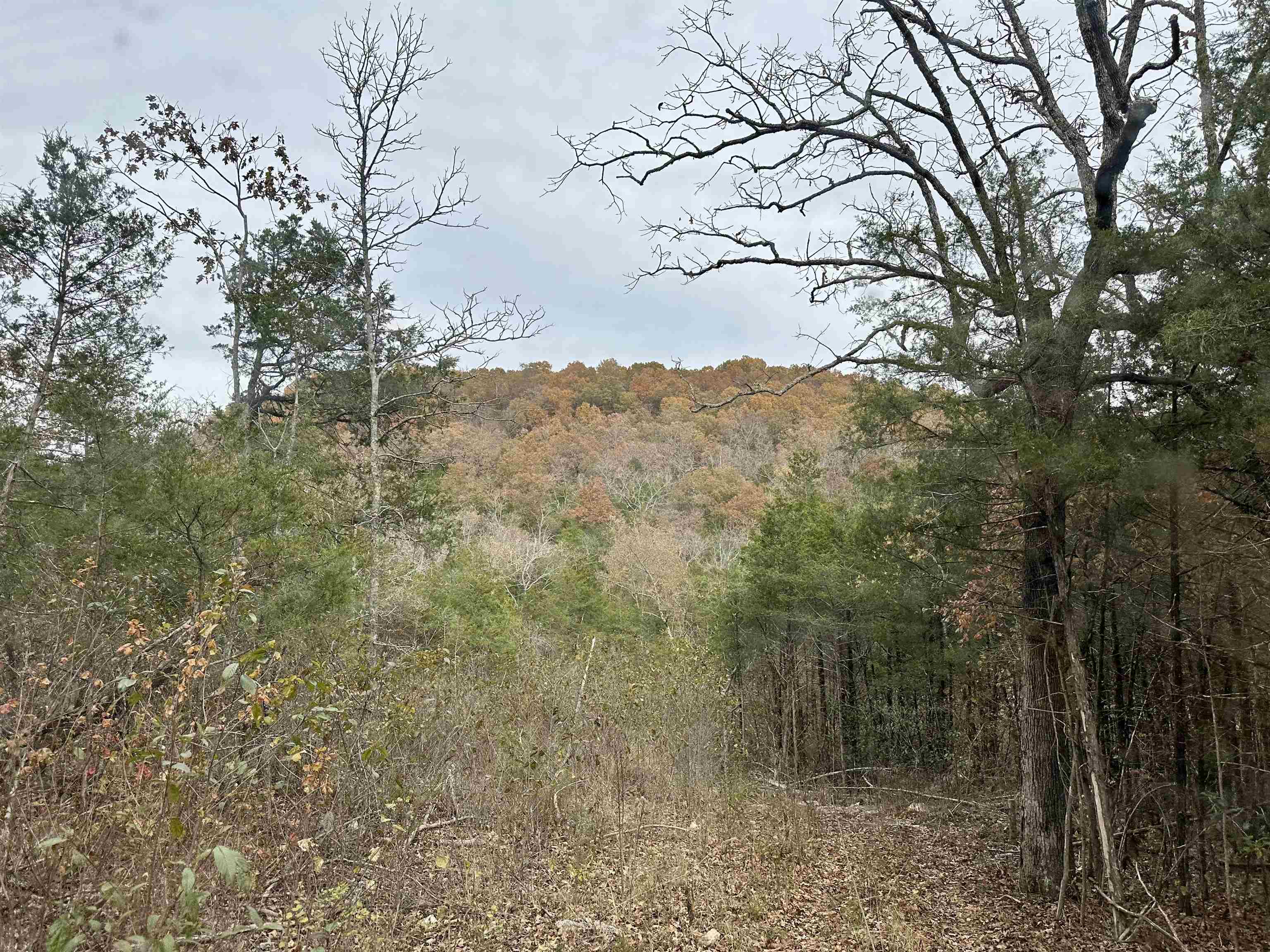 0000 Buck Ridge Lane Property Photo 21
