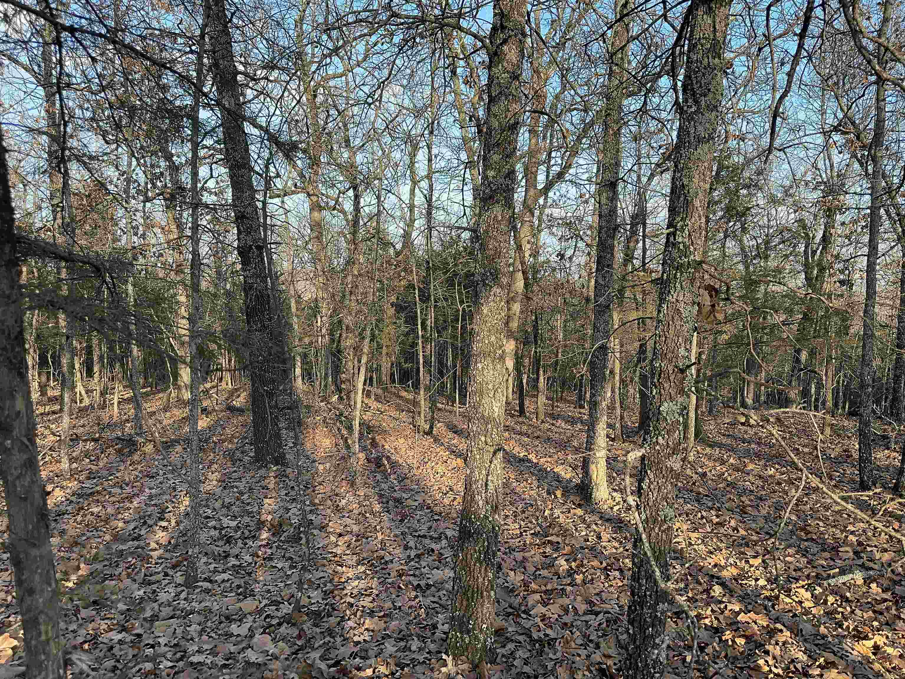 0000 Buck Ridge Lane Property Photo 22