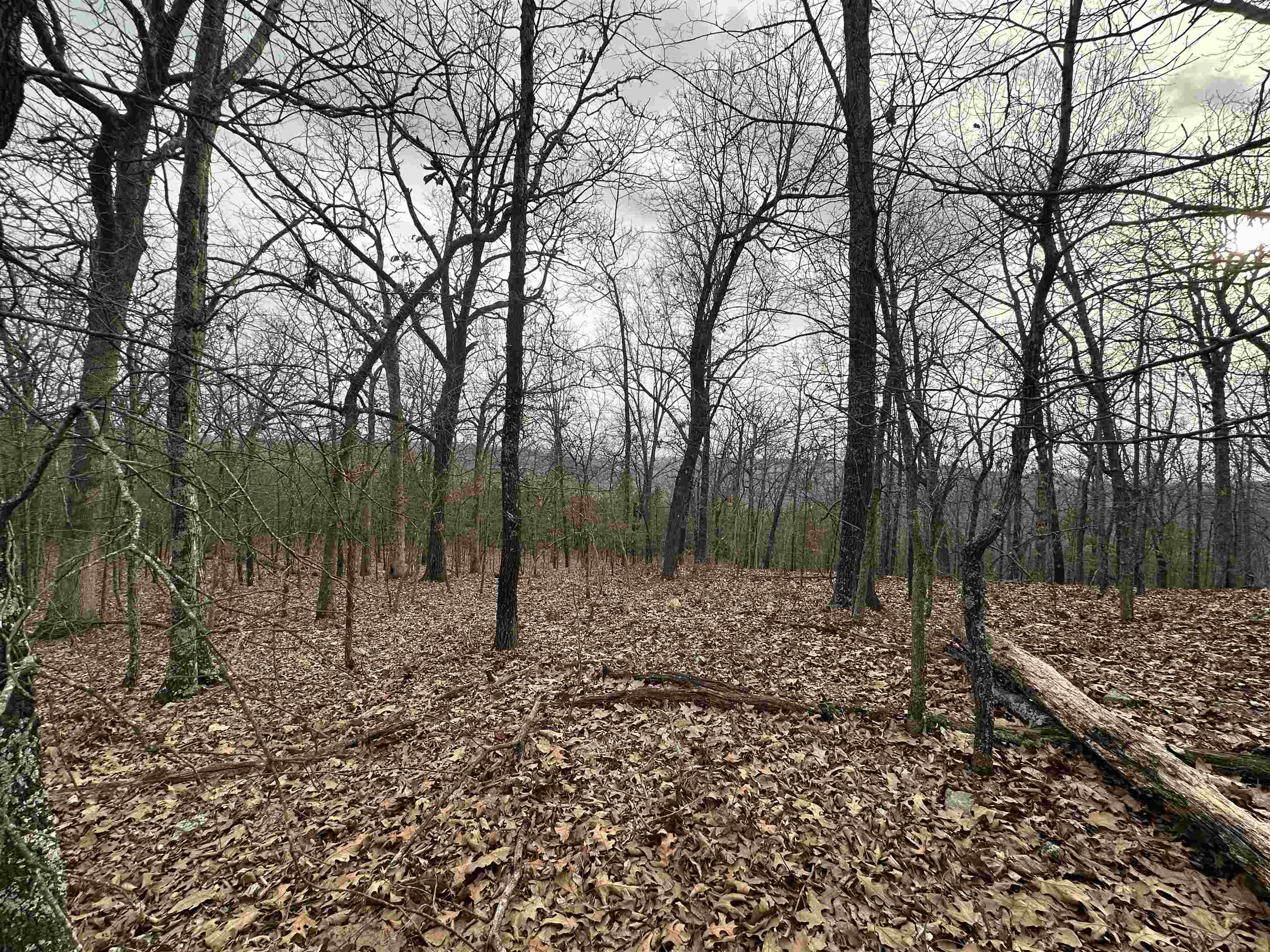 0000 Buck Ridge Lane Property Photo 23