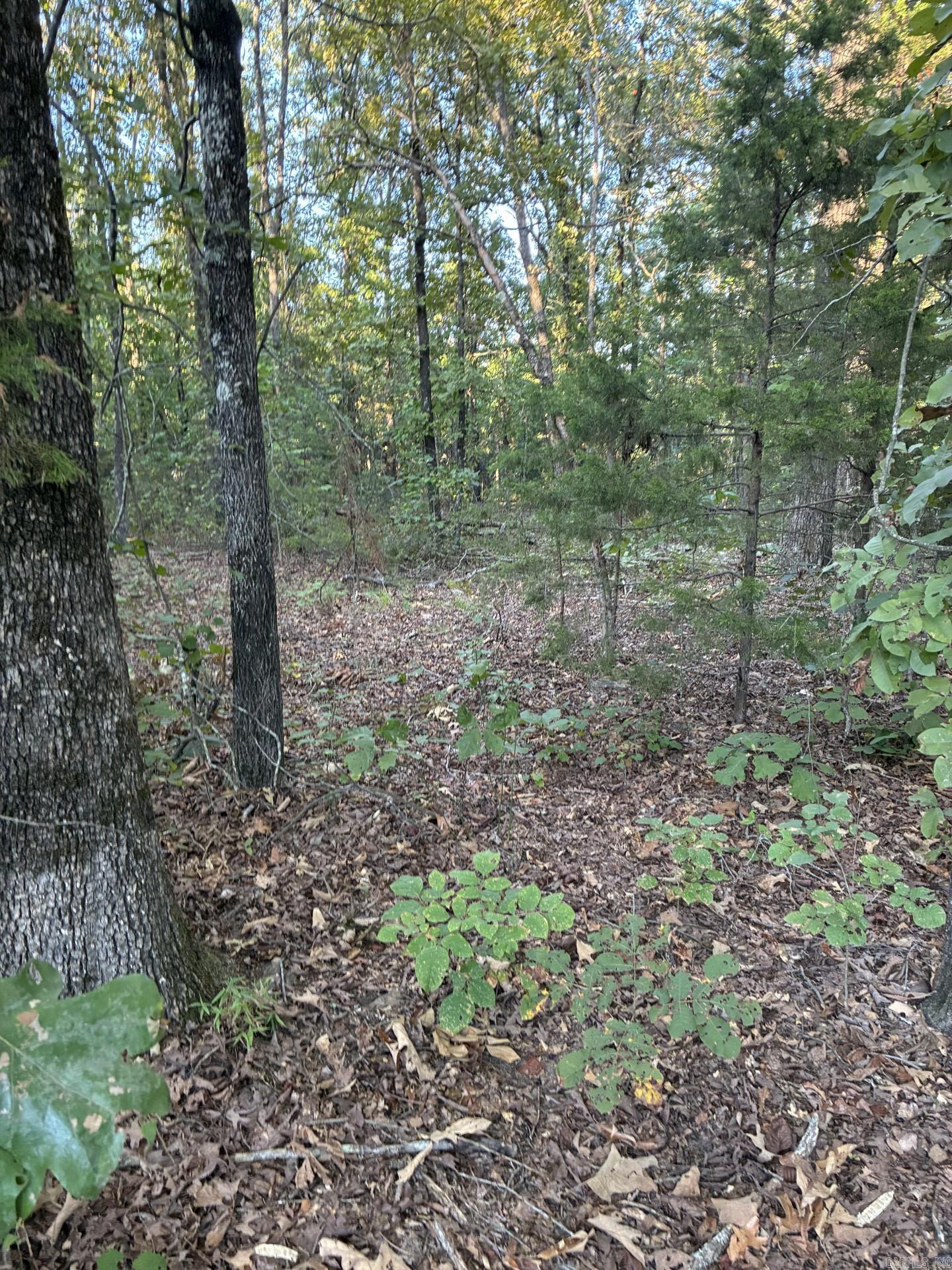 00 Hwy 336 Property Photo 2