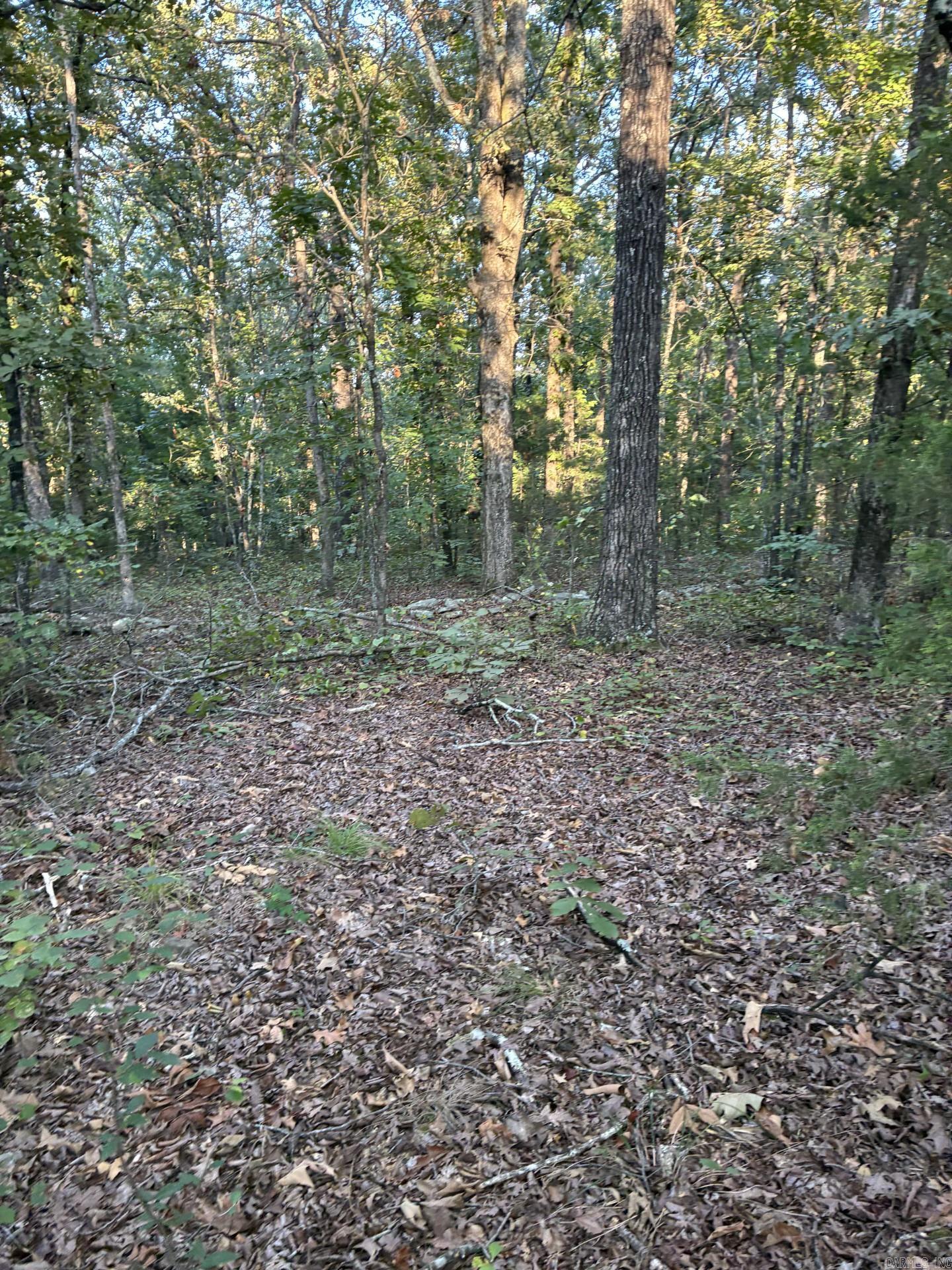 00 Hwy 336 Property Photo 3
