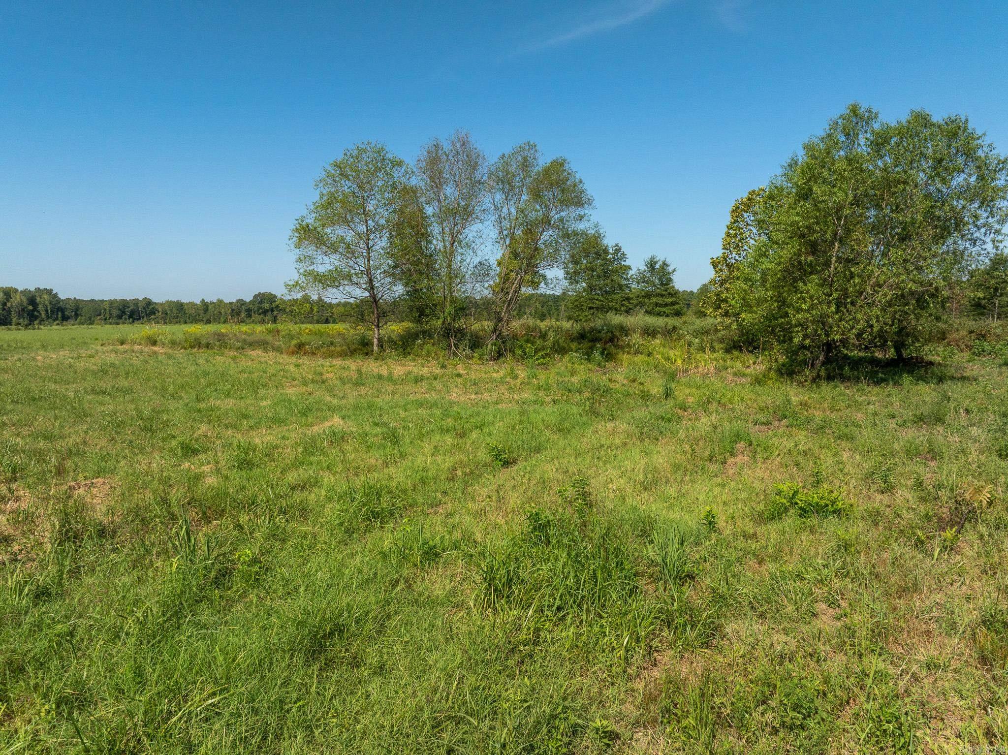 000 Hwy. 13 Property Photo 7