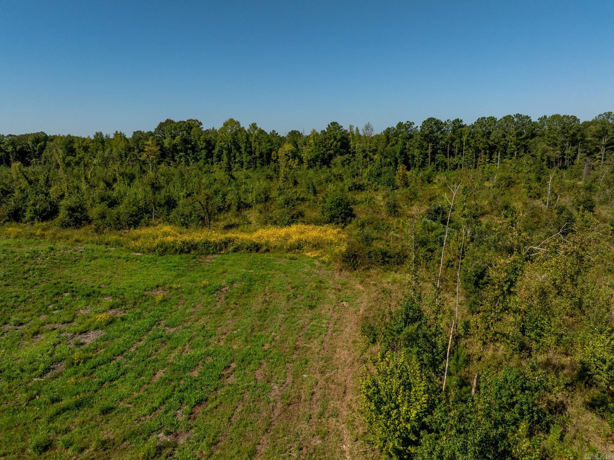 000 Hwy. 13 Property Photo 21