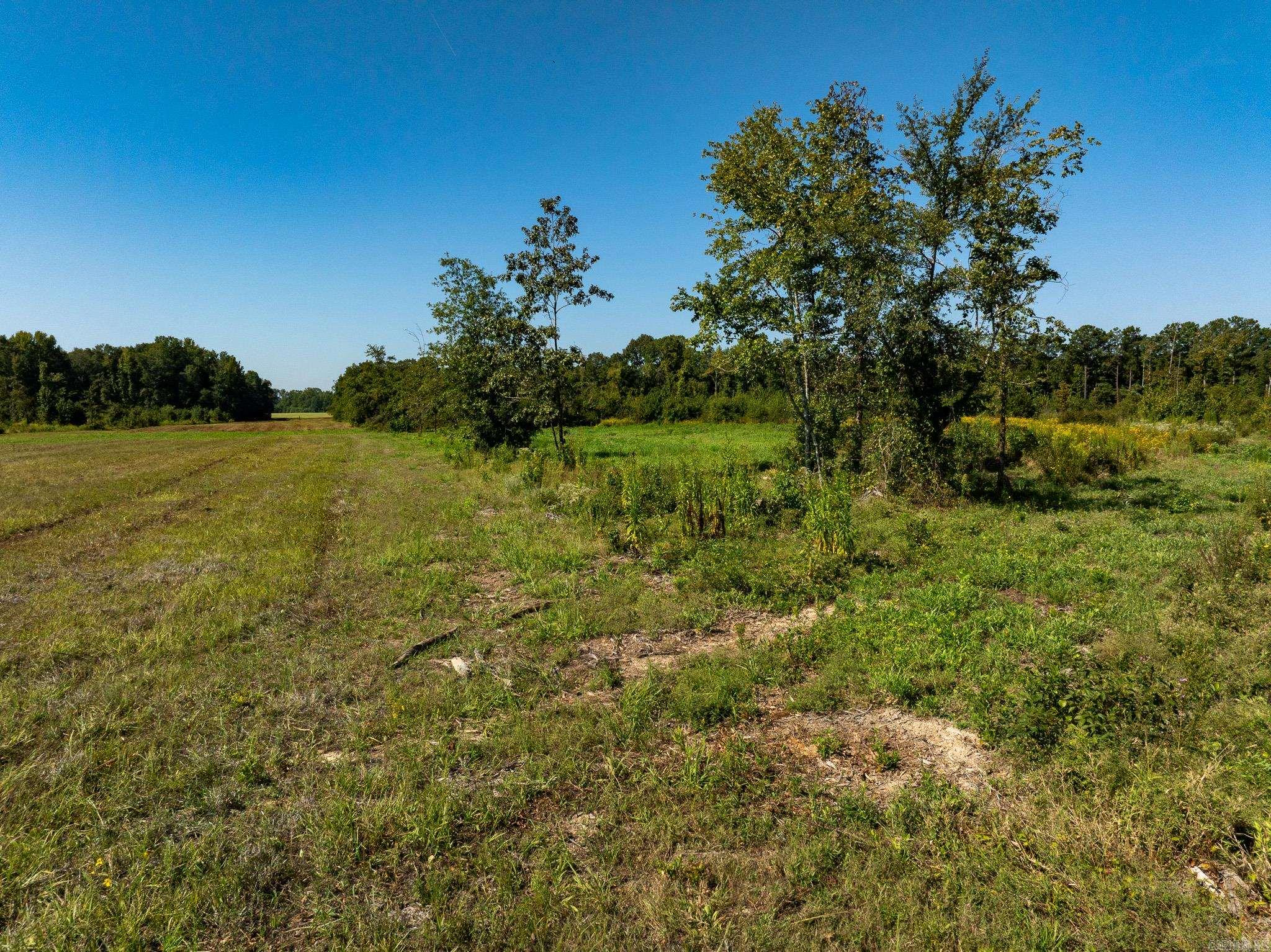 000 Hwy. 13 Property Photo 25