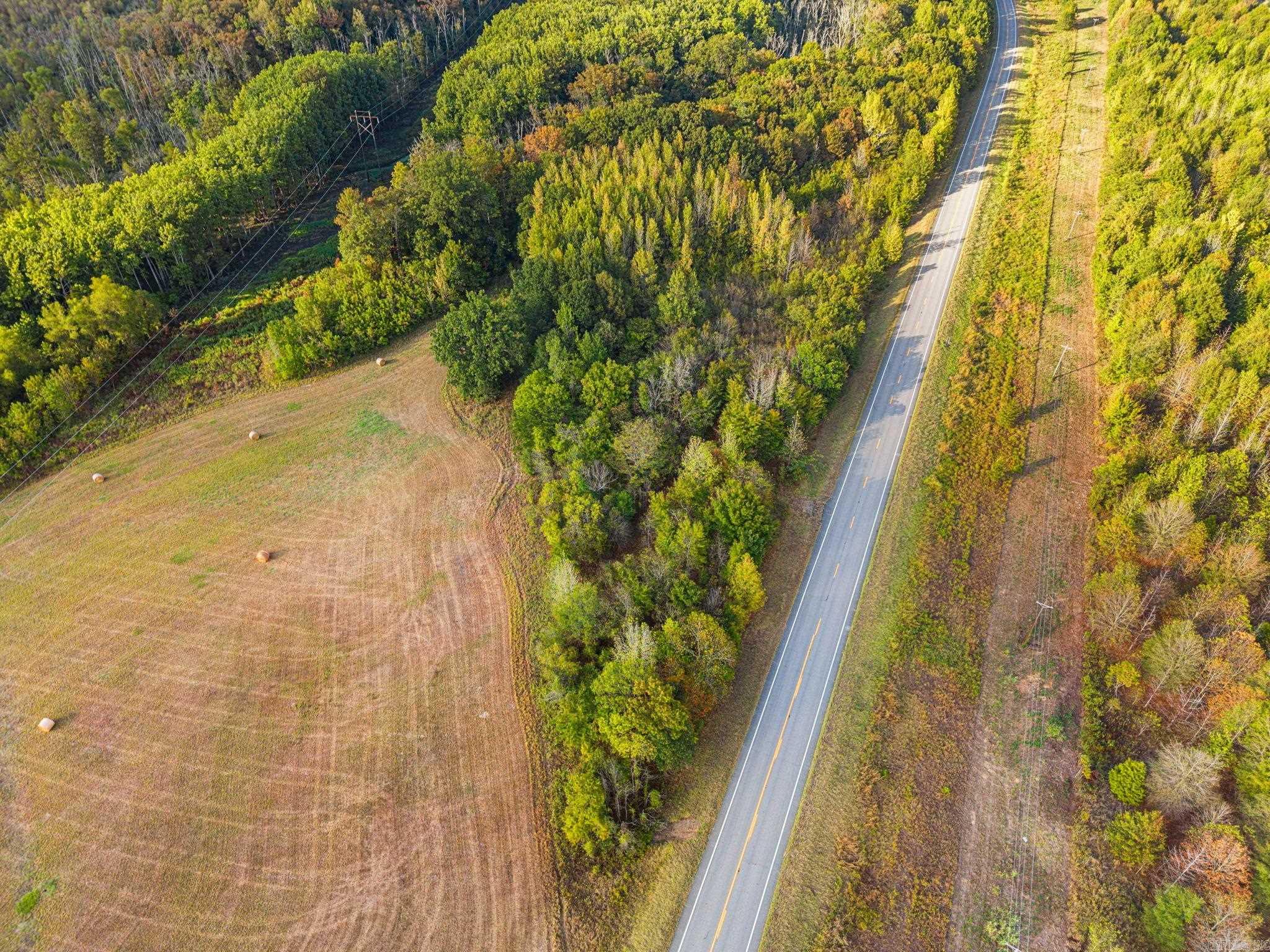 0 Hwy 367 Property Photo 4