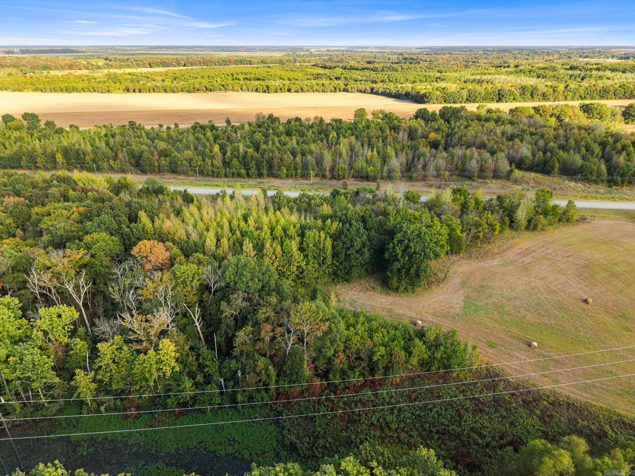 0 Hwy 367 Property Photo 7