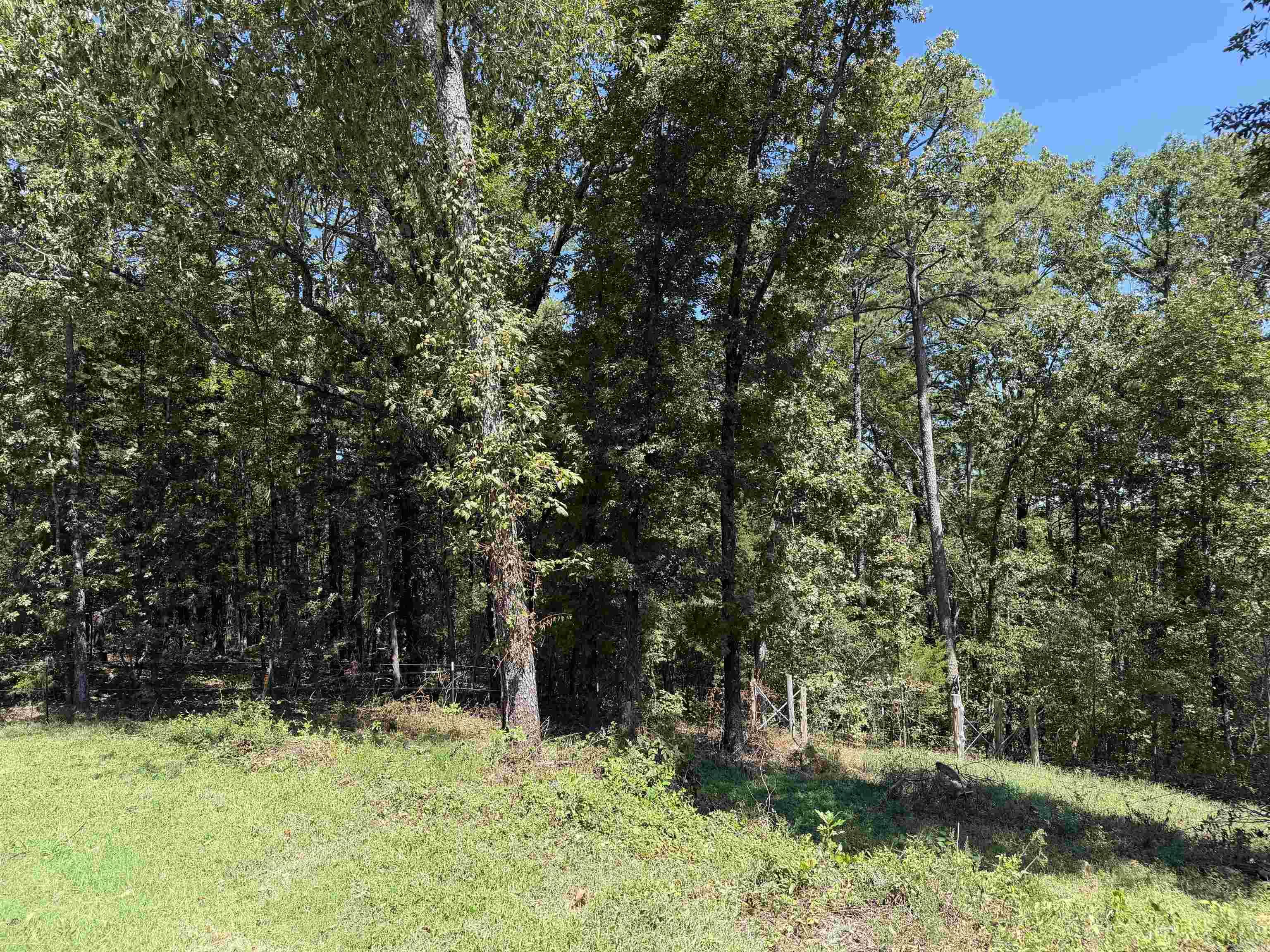 2195 Hwy 330 S Property Photo 7