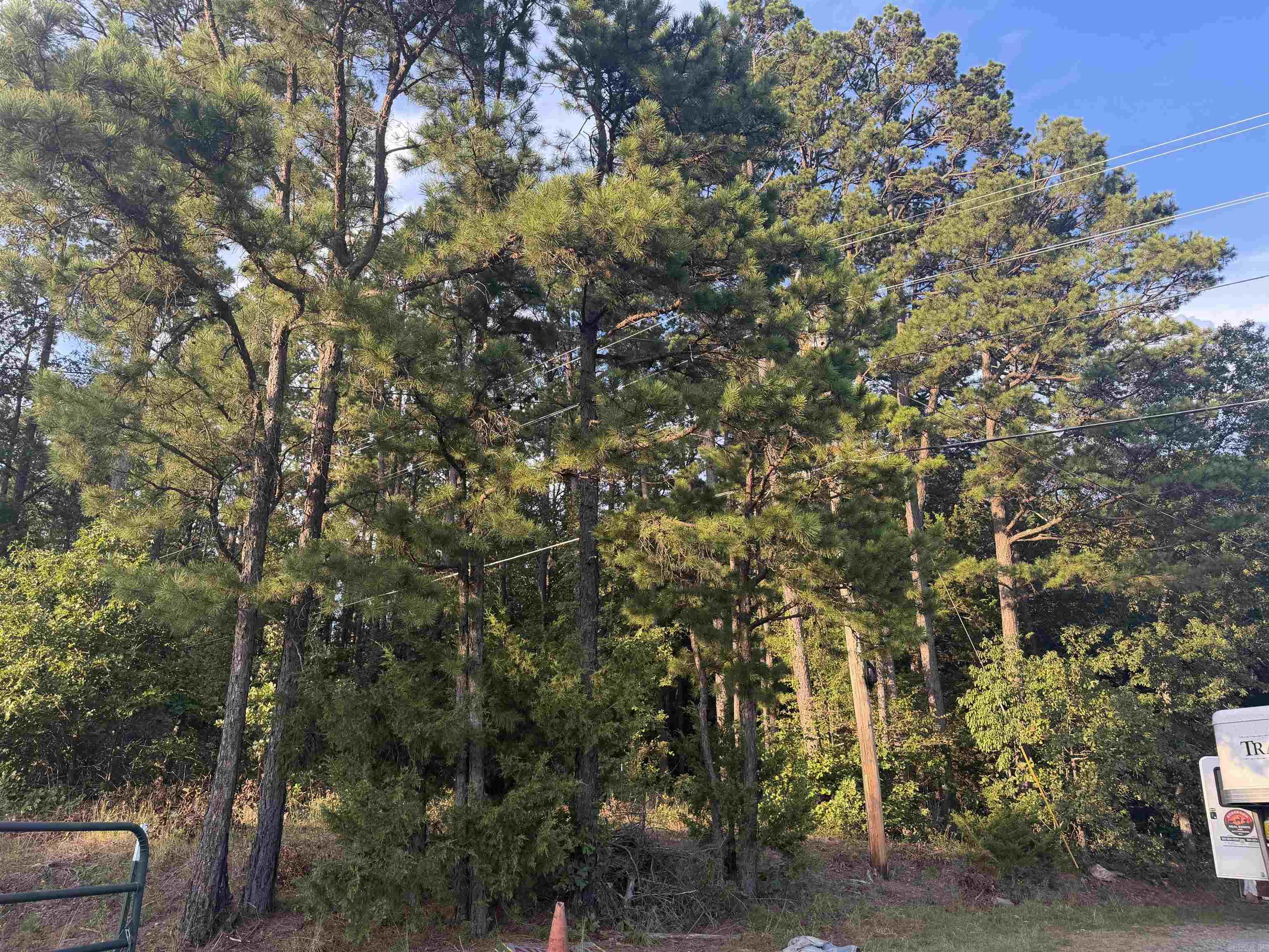 2195 Hwy 330 S Property Photo 15