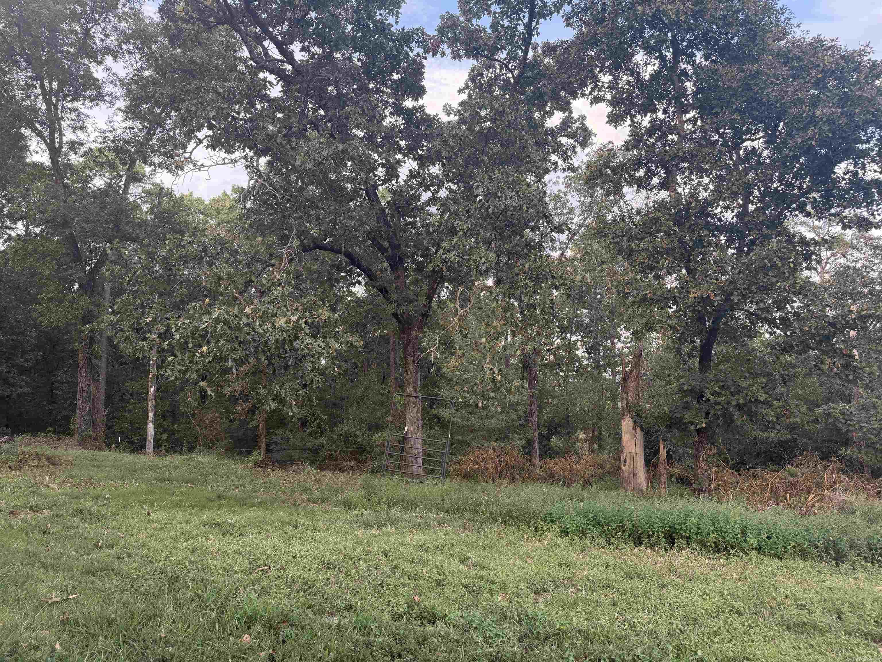 2195 Hwy 330 S Property Photo 19