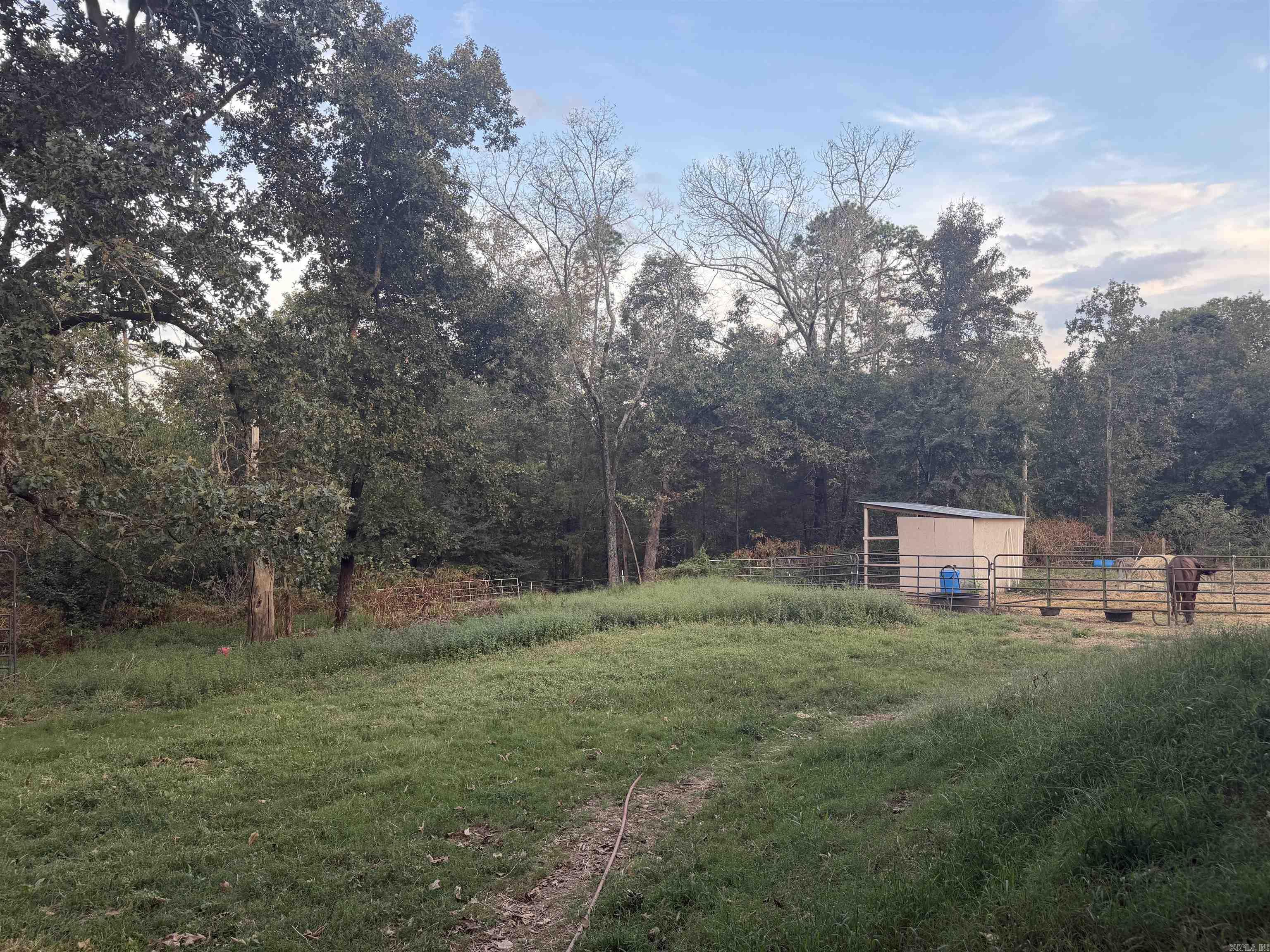 2195 Hwy 330 S Property Photo 21