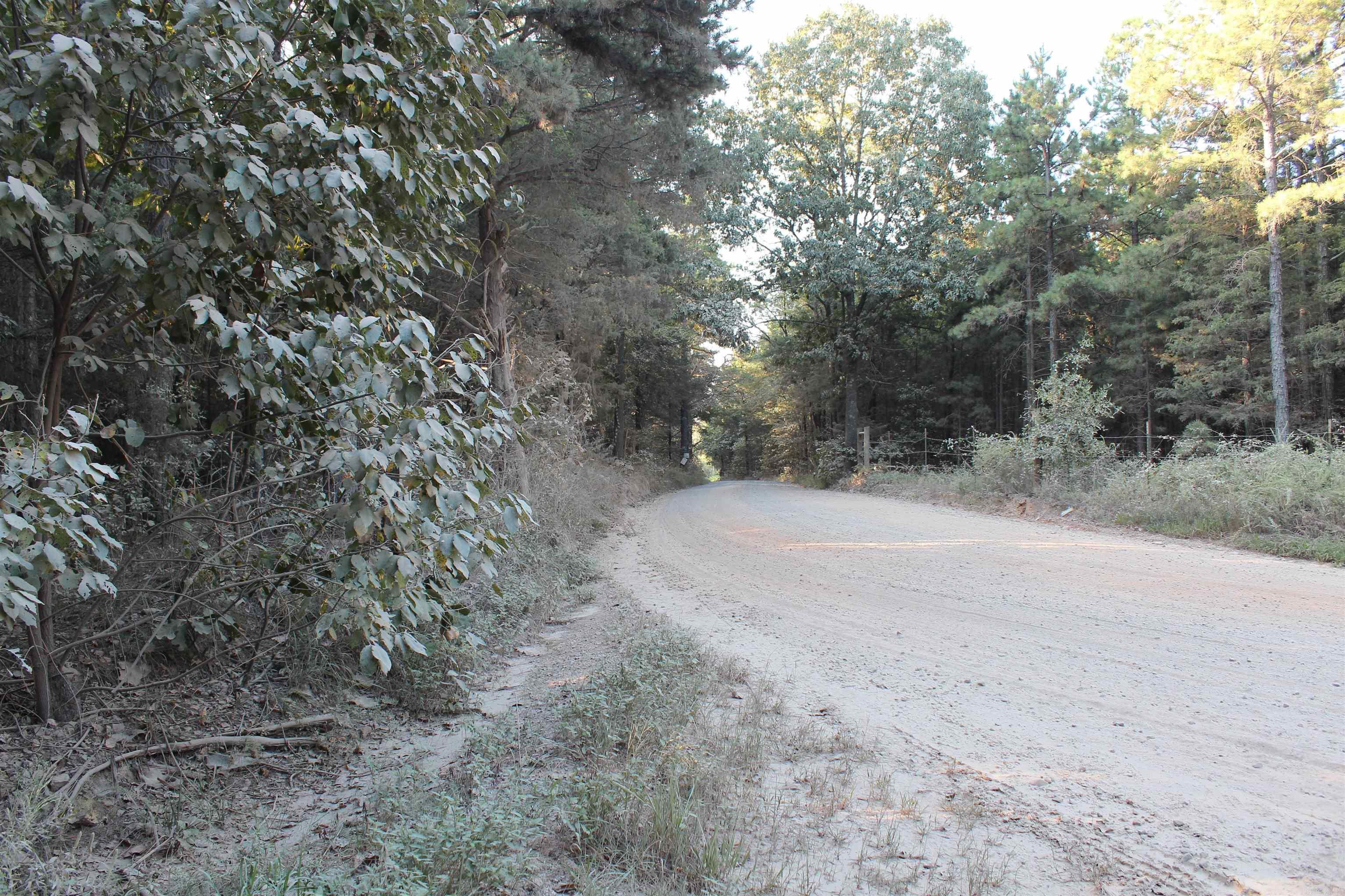 990 Mahan Drive Property Photo 11