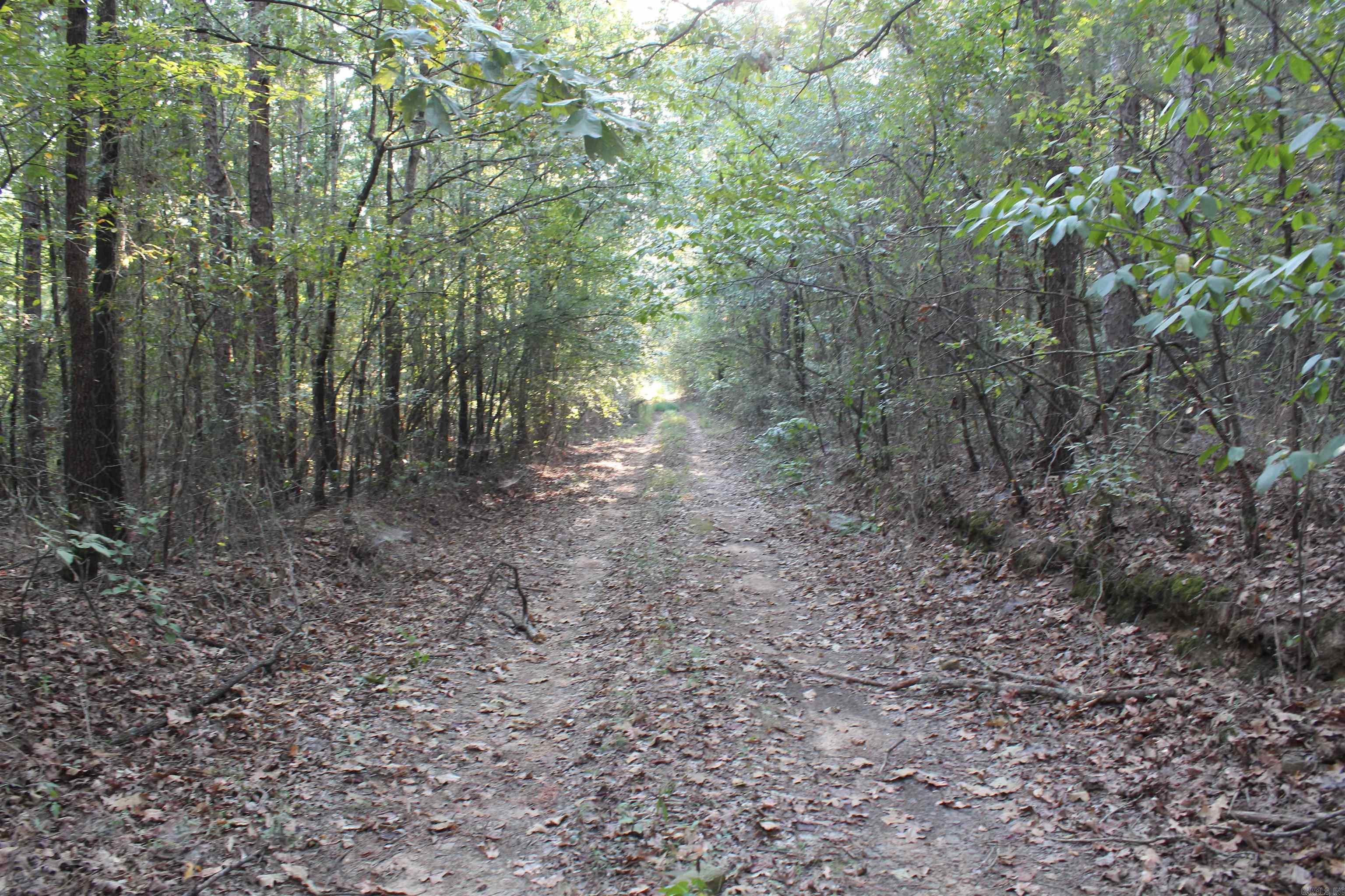990 Mahan Drive Property Photo 13