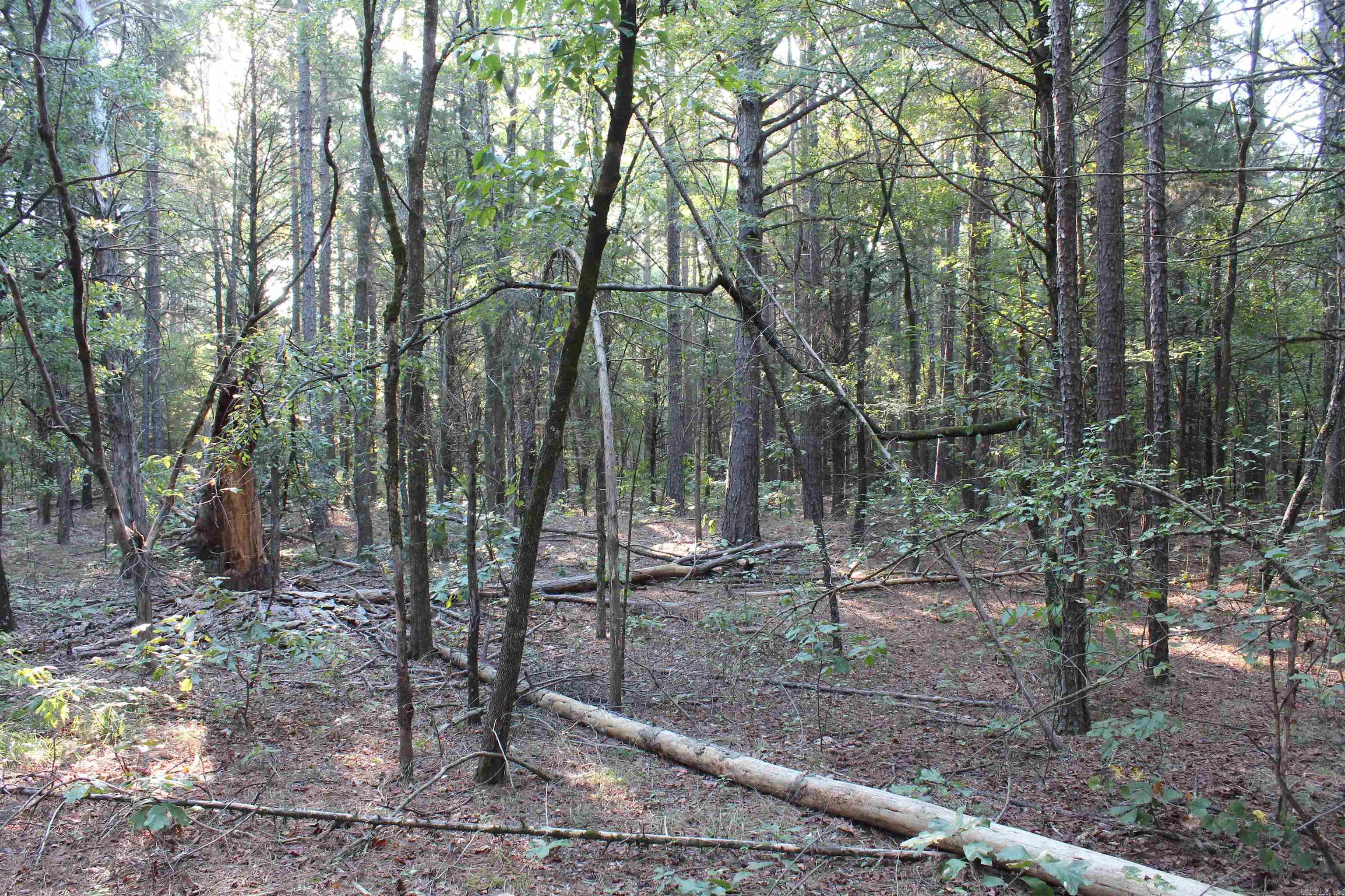 990 Mahan Drive Property Photo 15