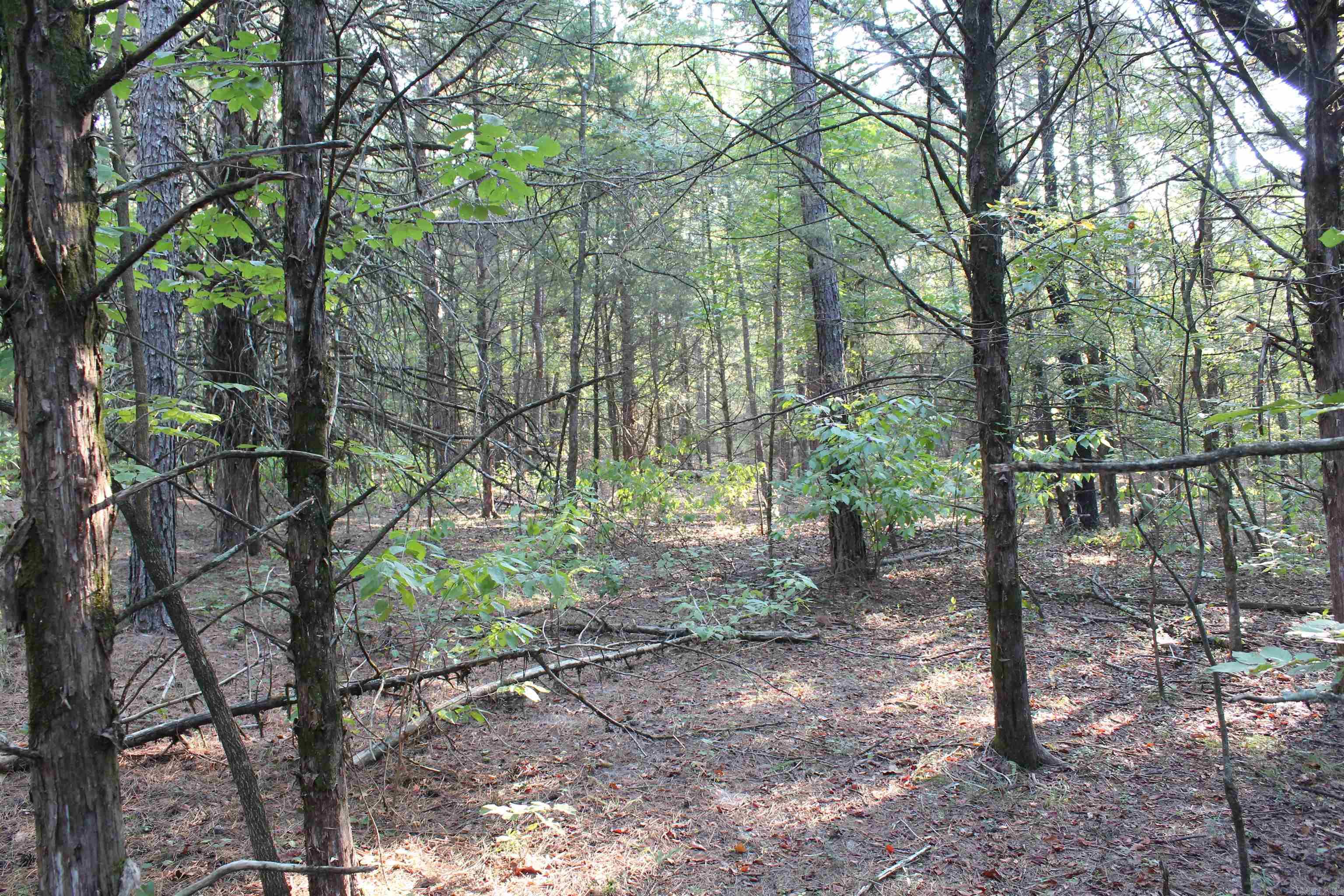 990 Mahan Drive Property Photo 18