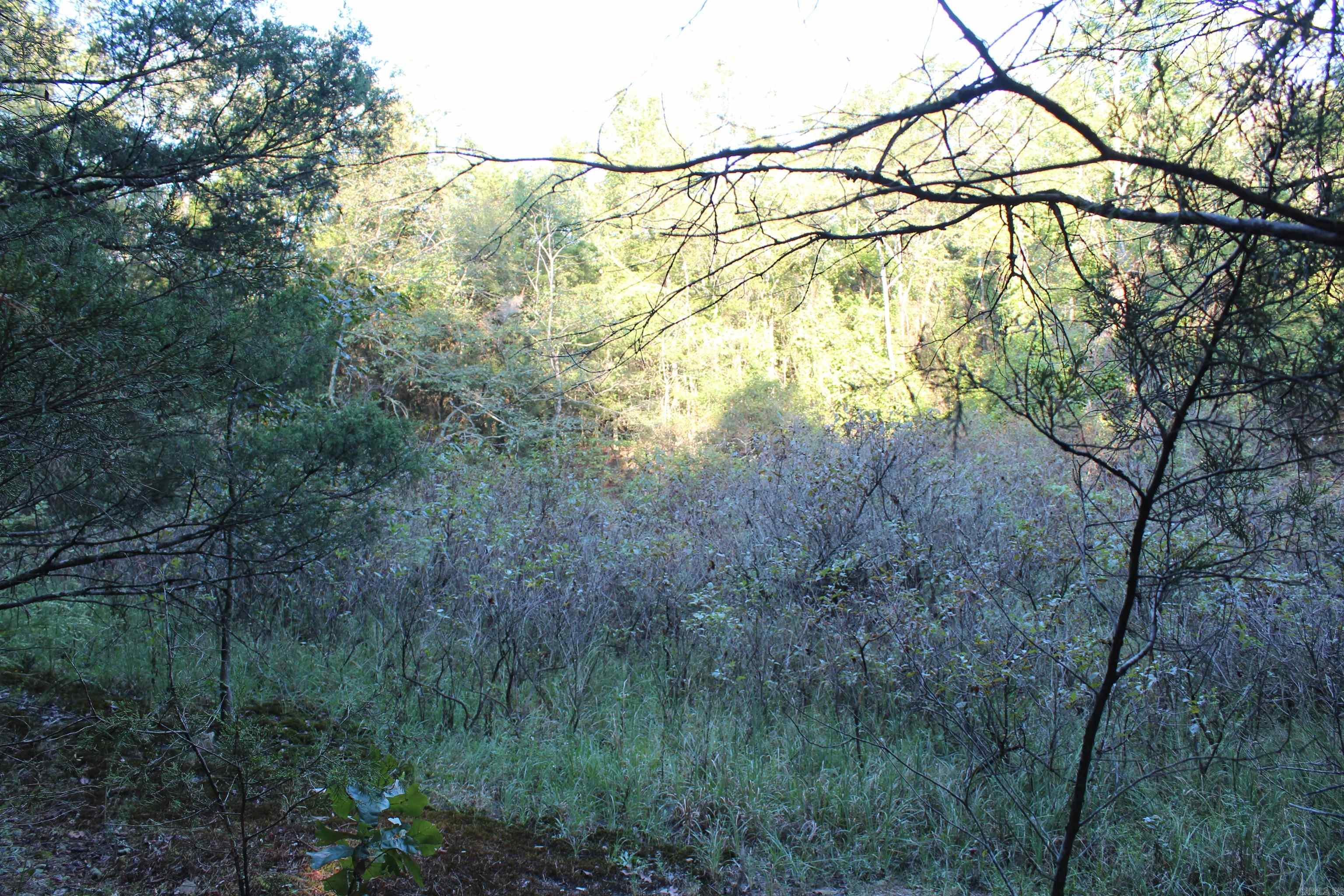 990 Mahan Drive Property Photo 22