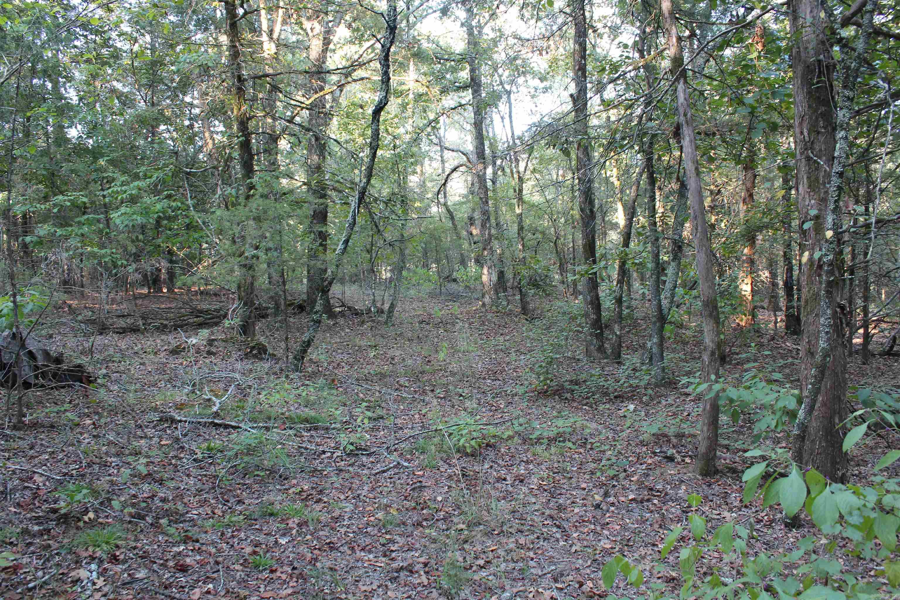 990 Mahan Drive Property Photo 25