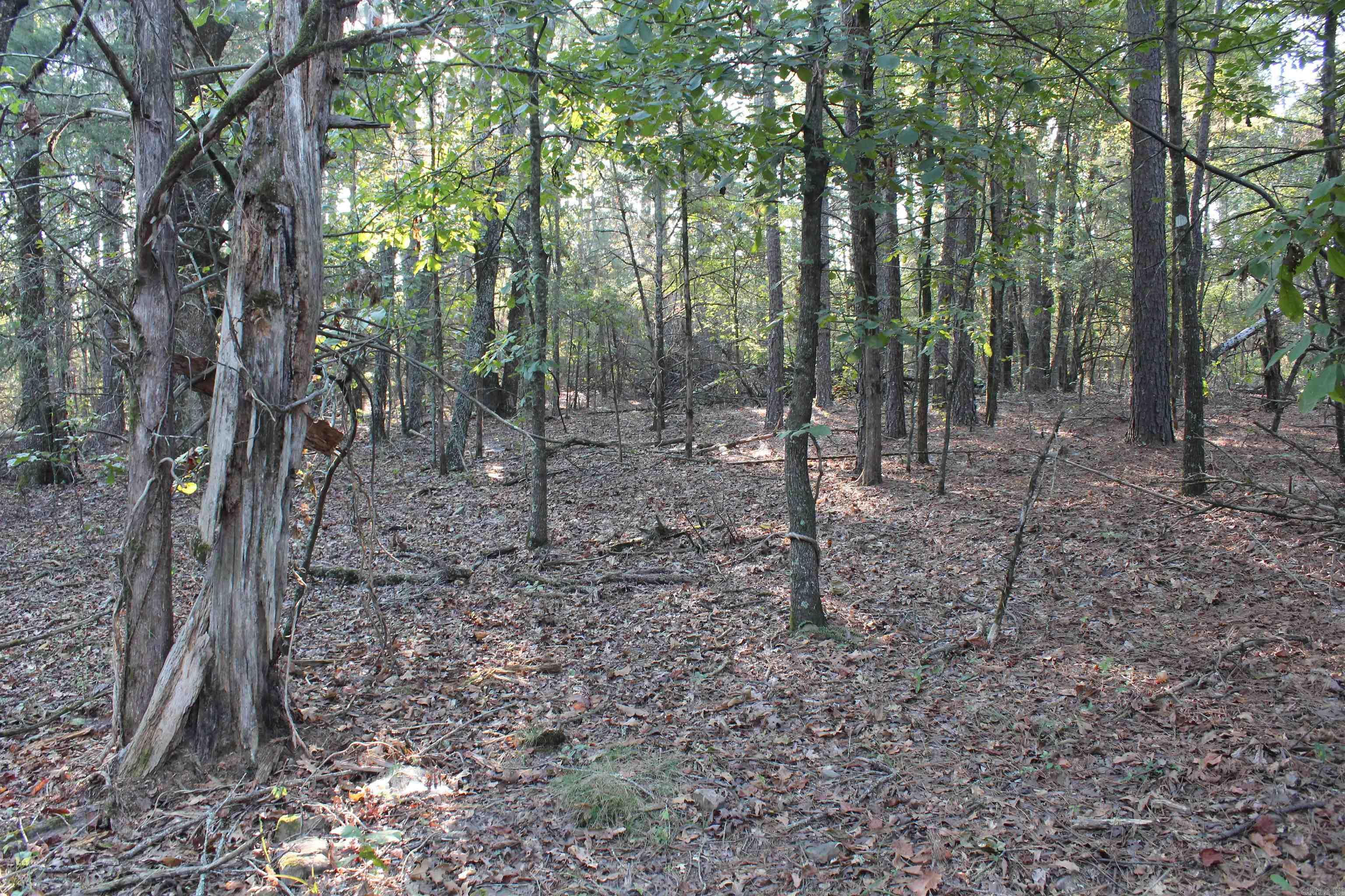 990 Mahan Drive Property Photo 26