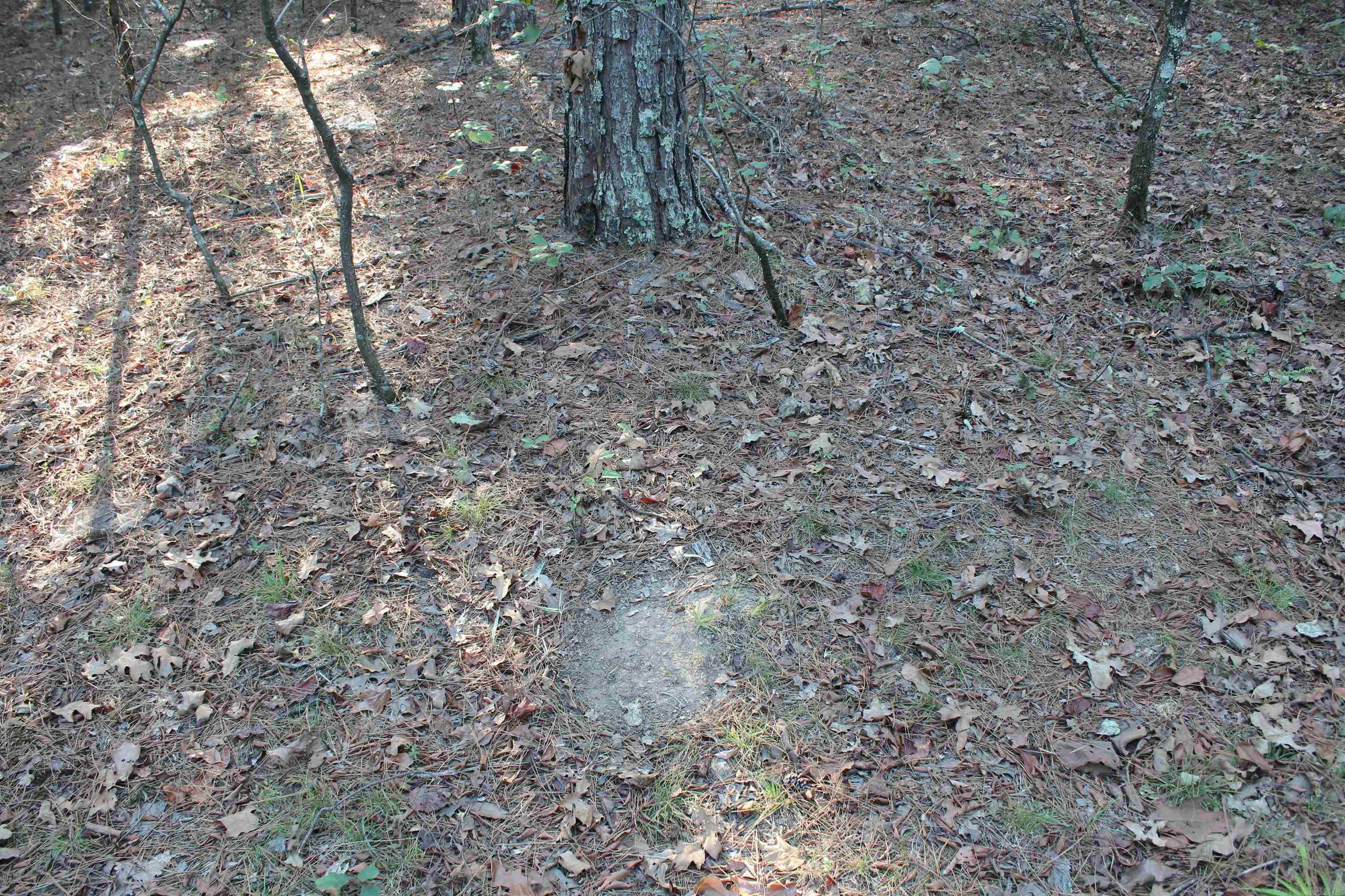 990 Mahan Drive Property Photo 27