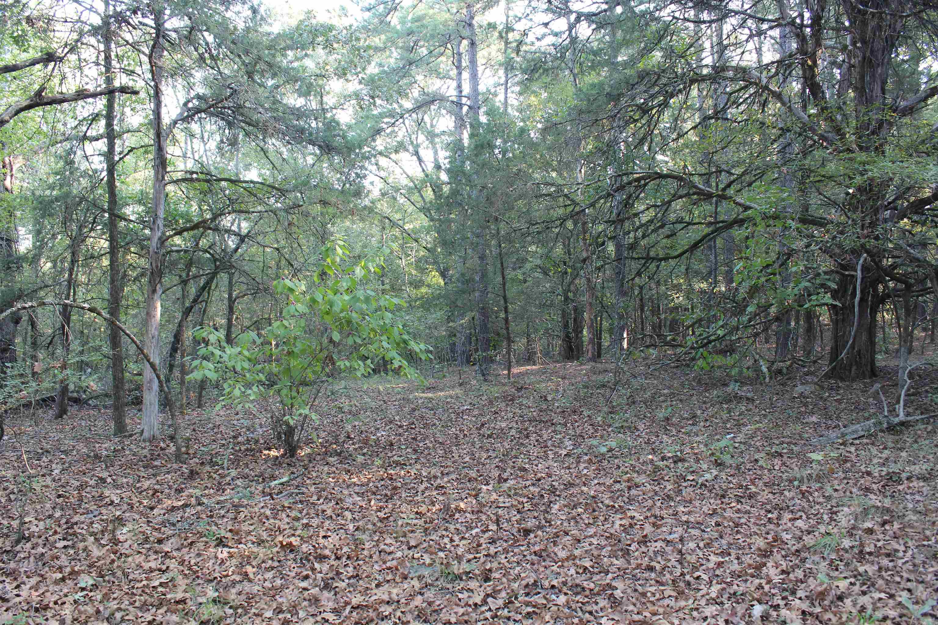 990 Mahan Drive Property Photo 30