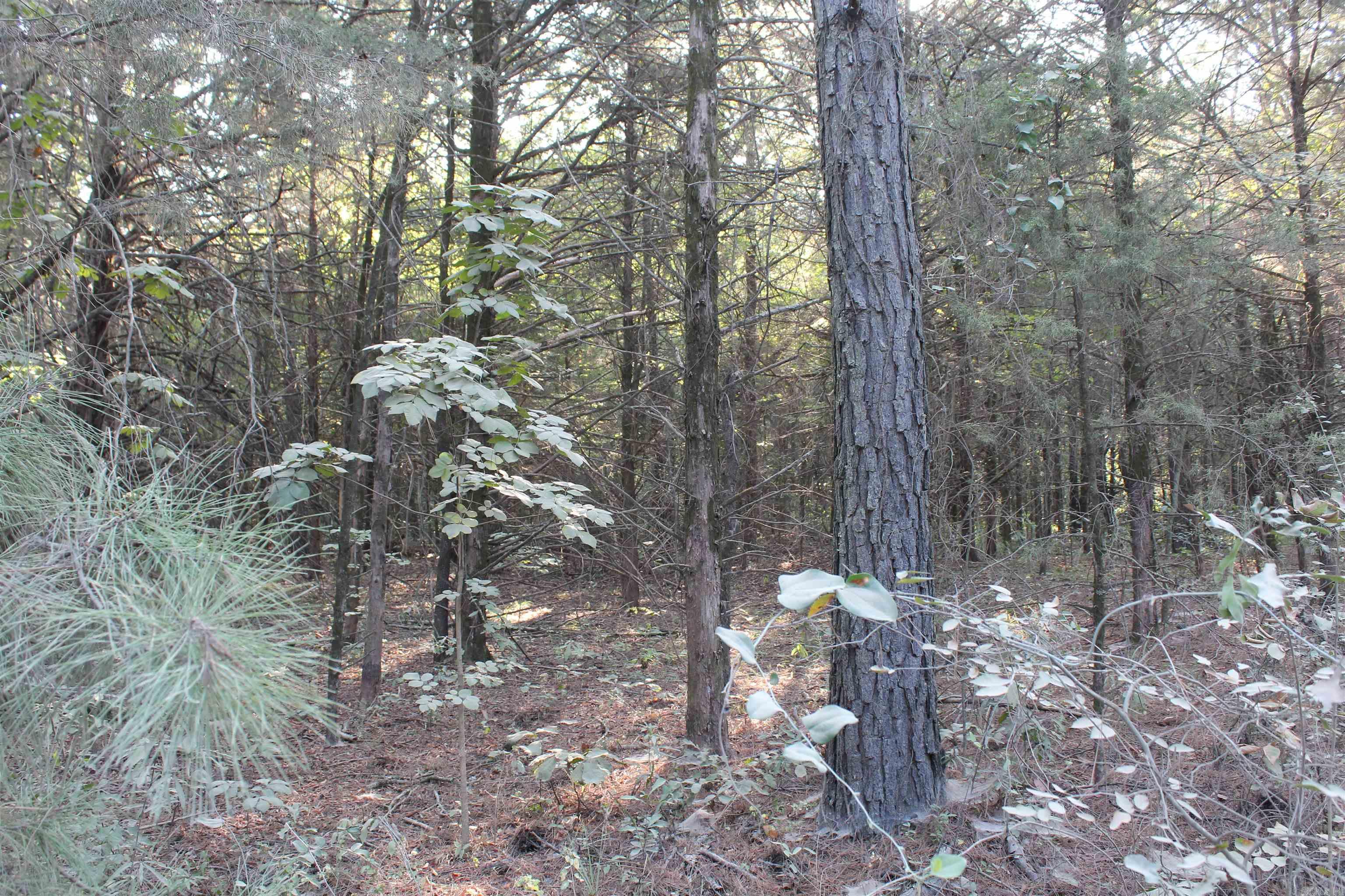 990 Mahan Drive Property Photo 31