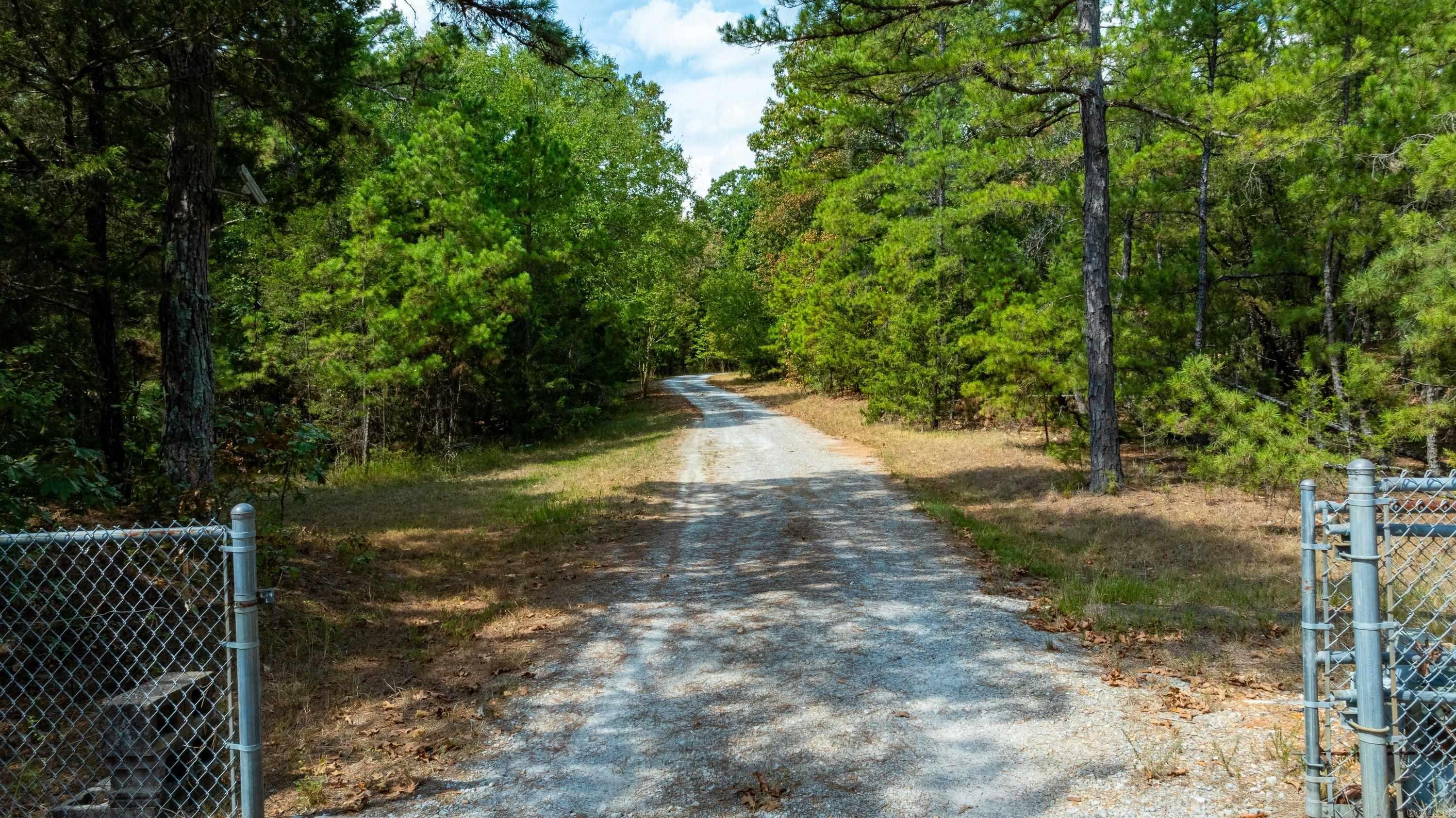 784 Hwy 115 Property Photo 6