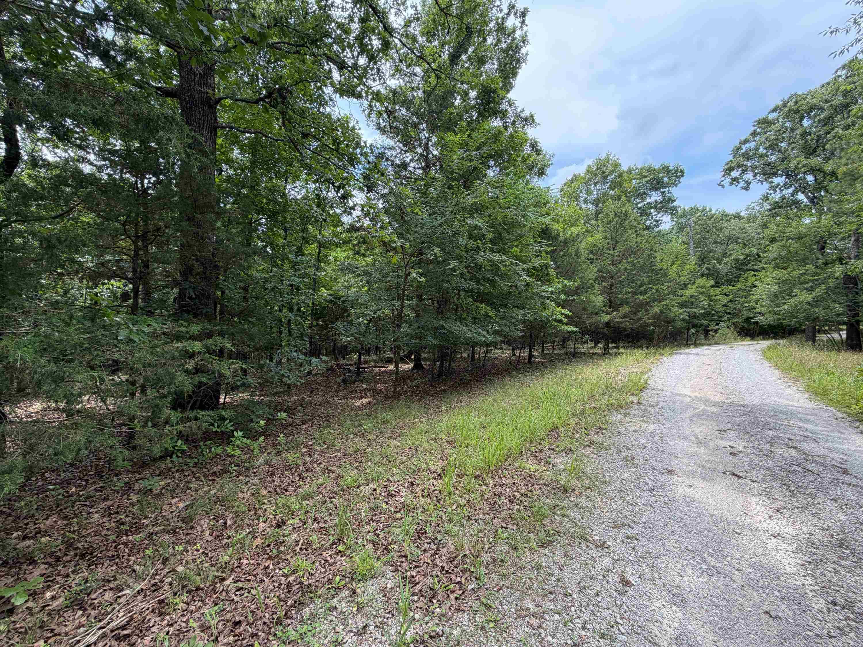 784 Hwy 115 Property Photo 46