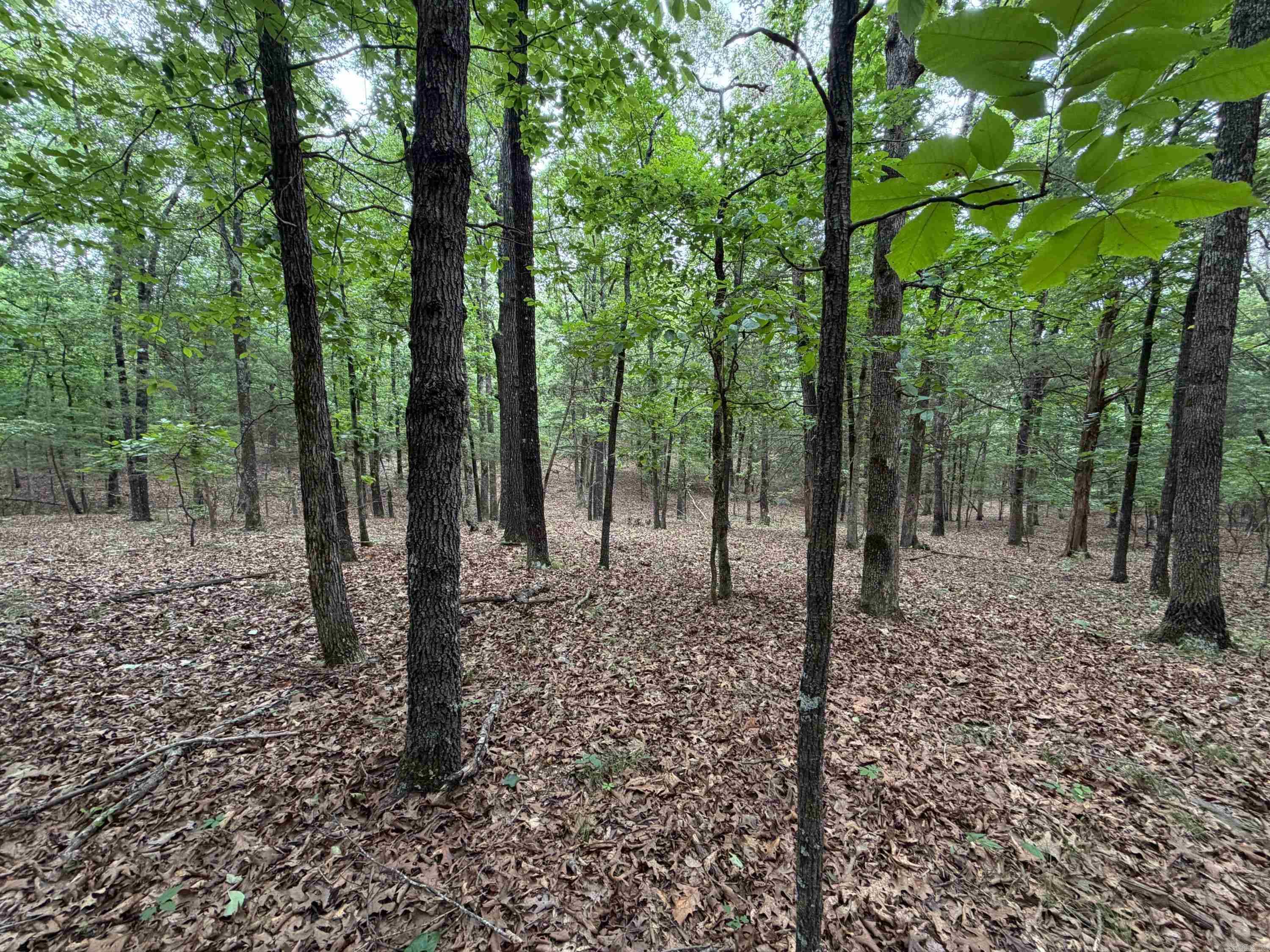 784 Hwy 115 Property Photo 47