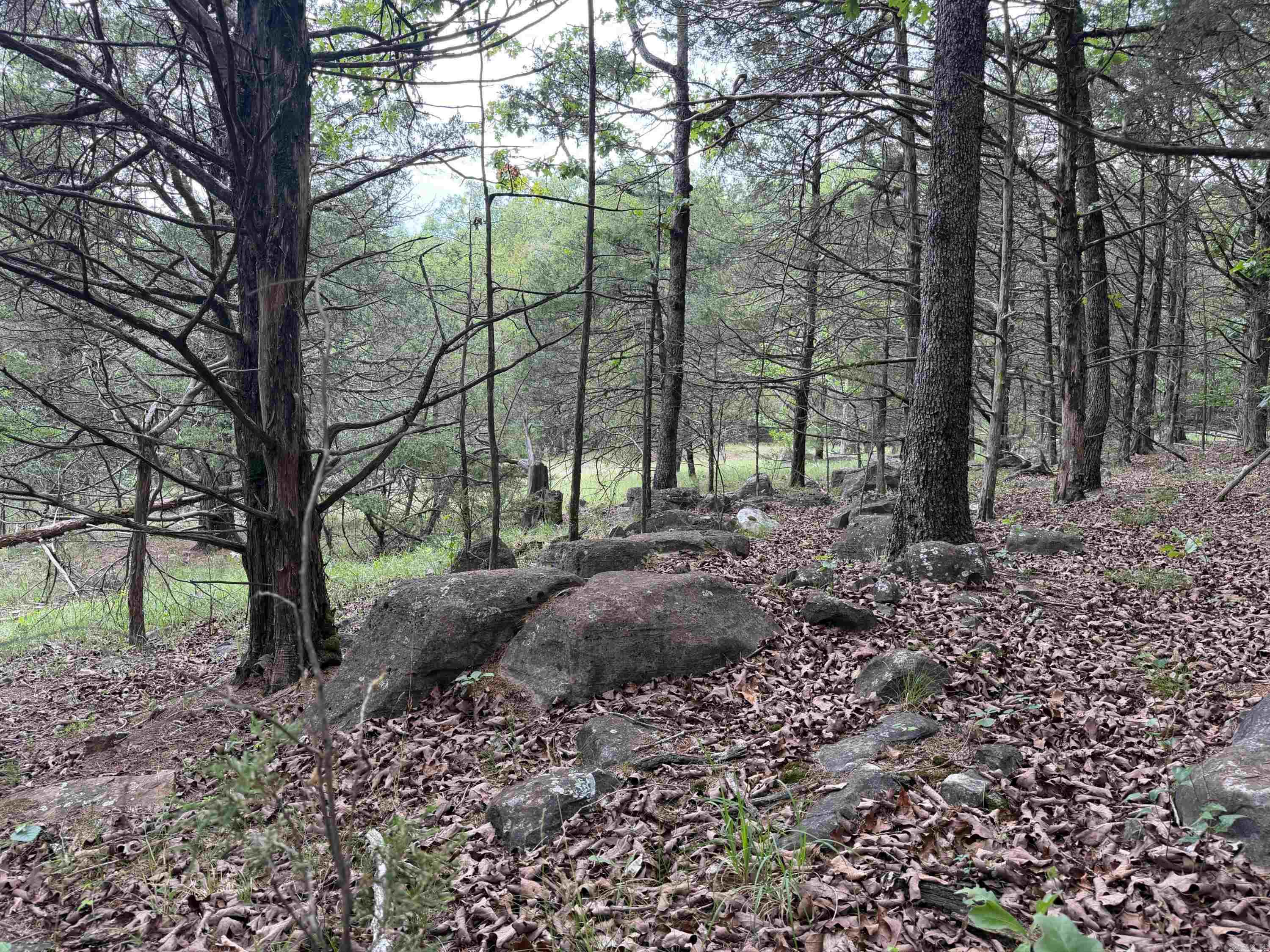 784 Hwy 115 Property Photo 48