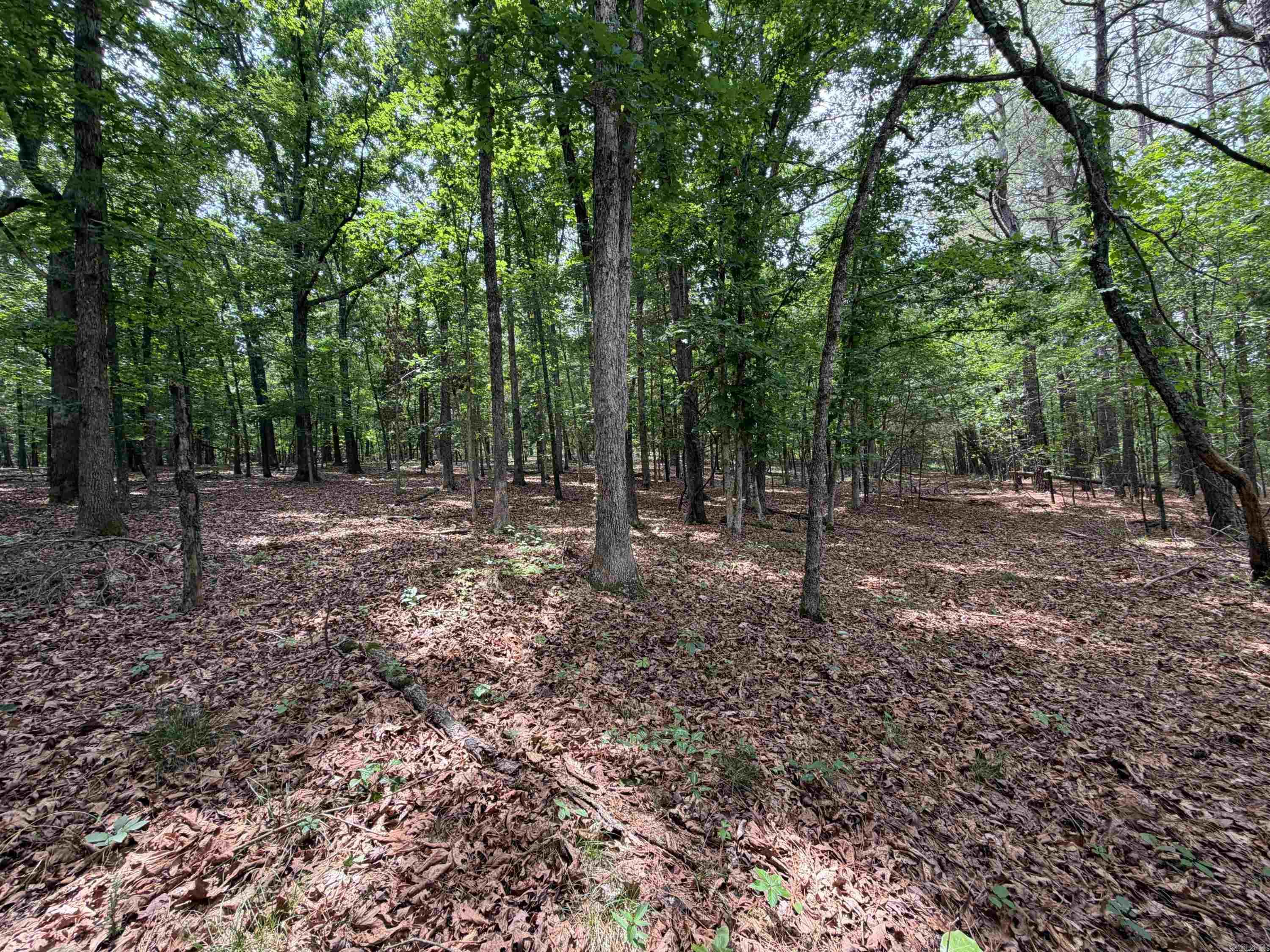 784 Hwy 115 Property Photo 49
