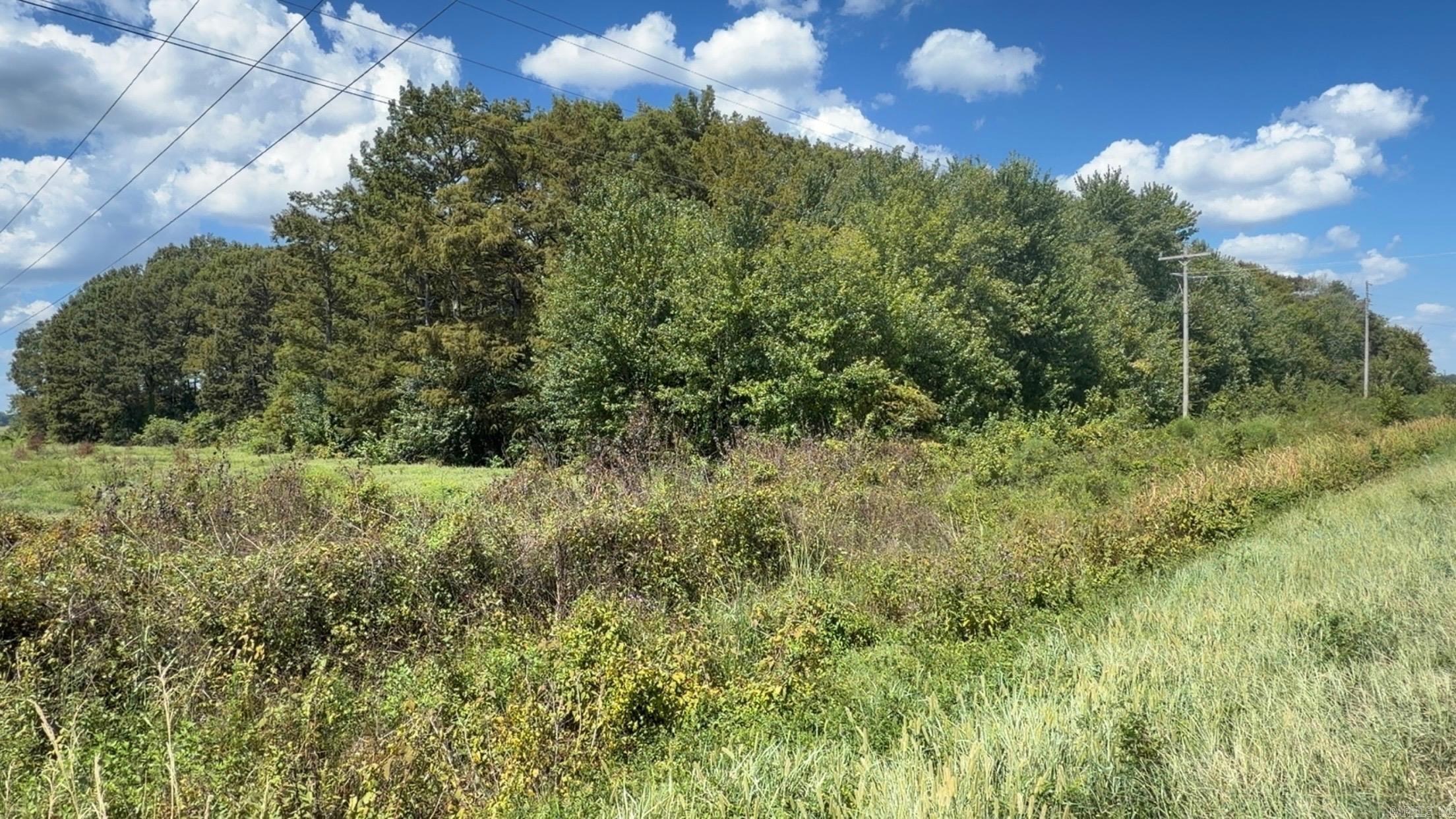 000 N HWY 425 Property Photo 1
