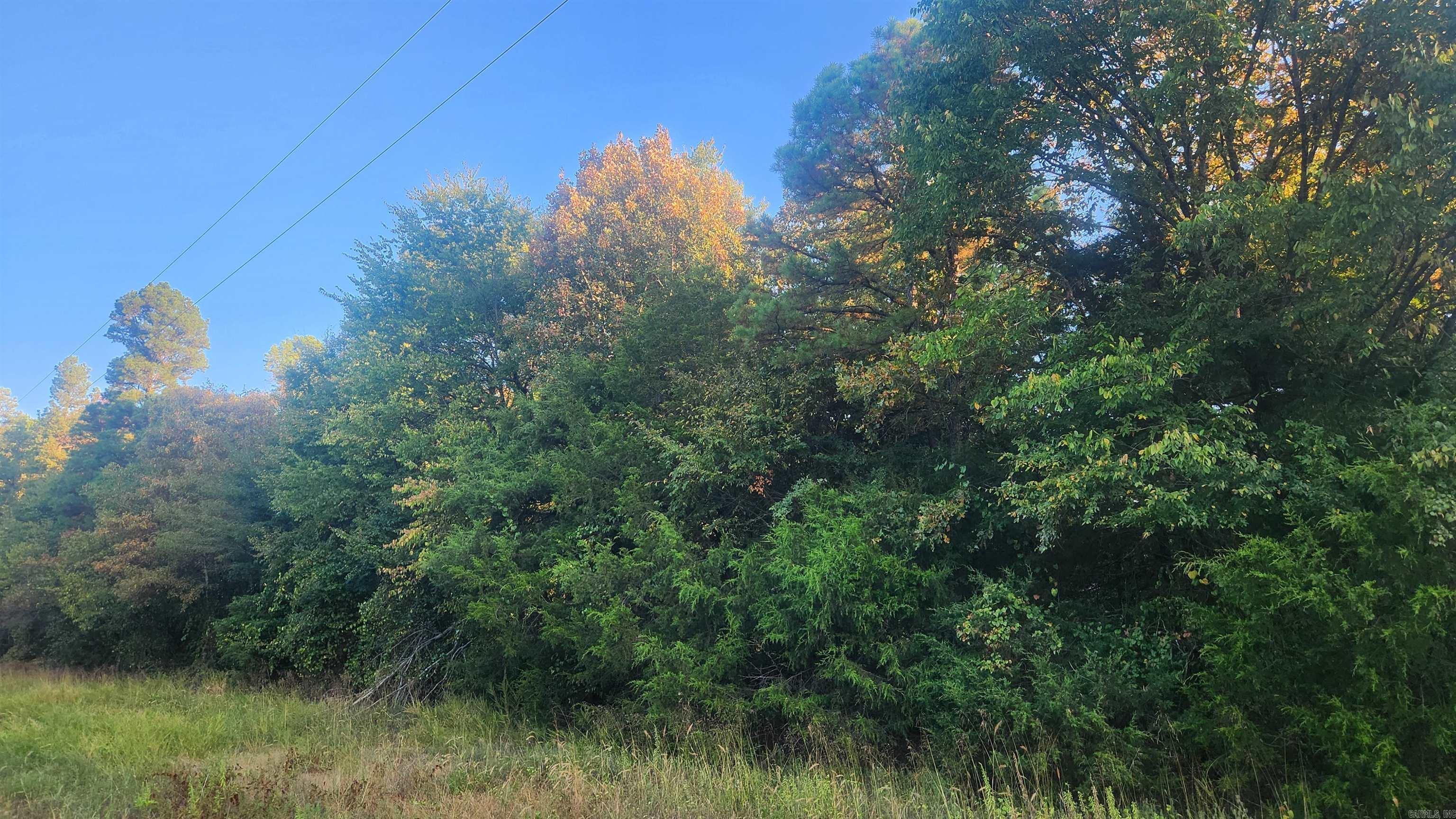 4682 E Hwy 88 Property Photo 16