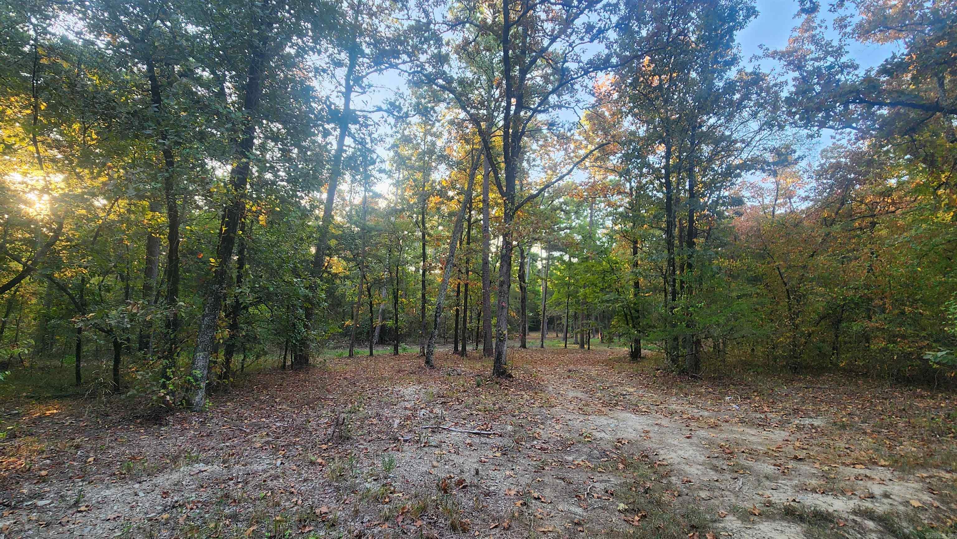 4682 E Hwy 88 Property Photo 20
