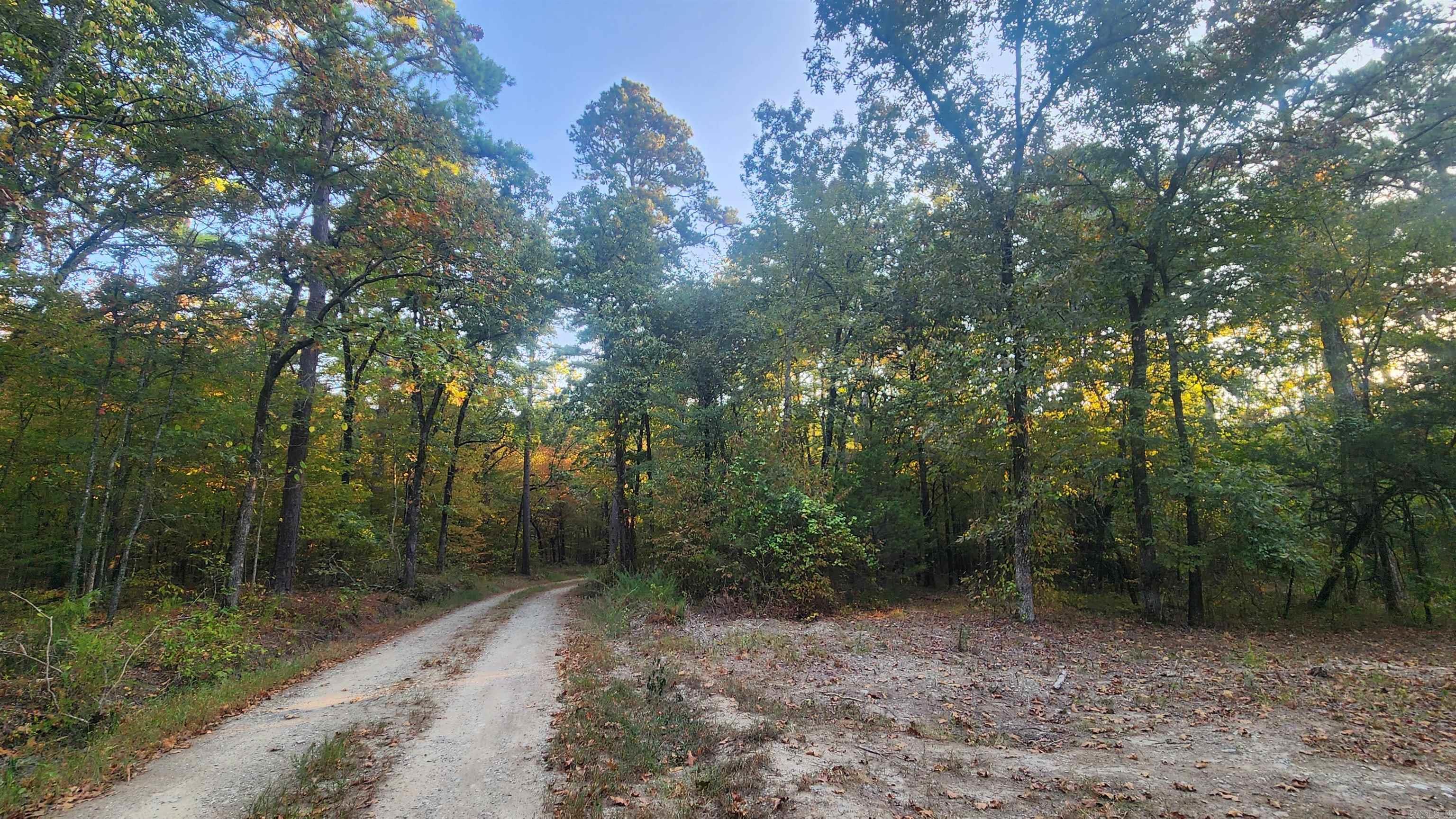 4682 E Hwy 88 Property Photo 21