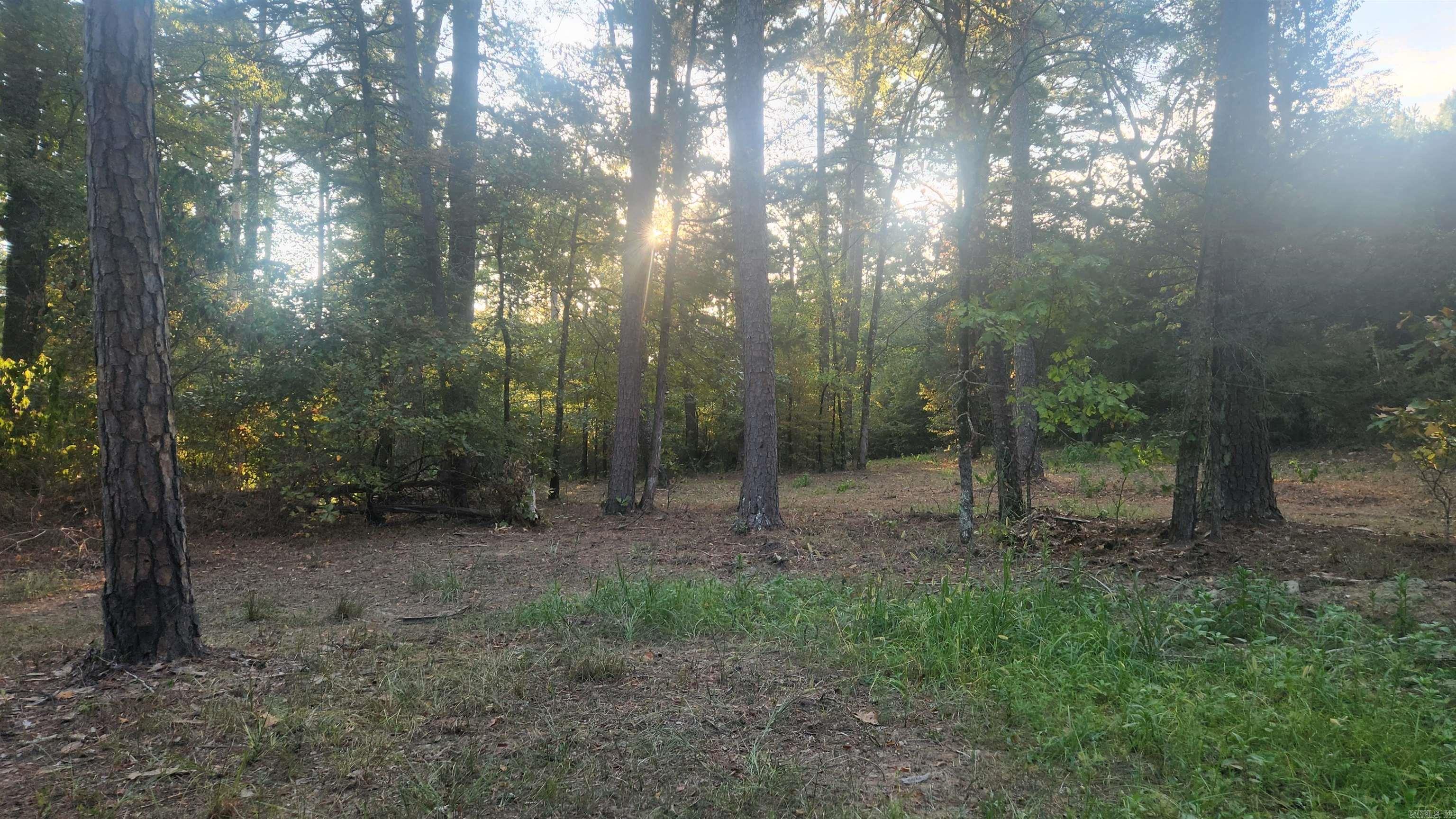 4682 E Hwy 88 Property Photo 26