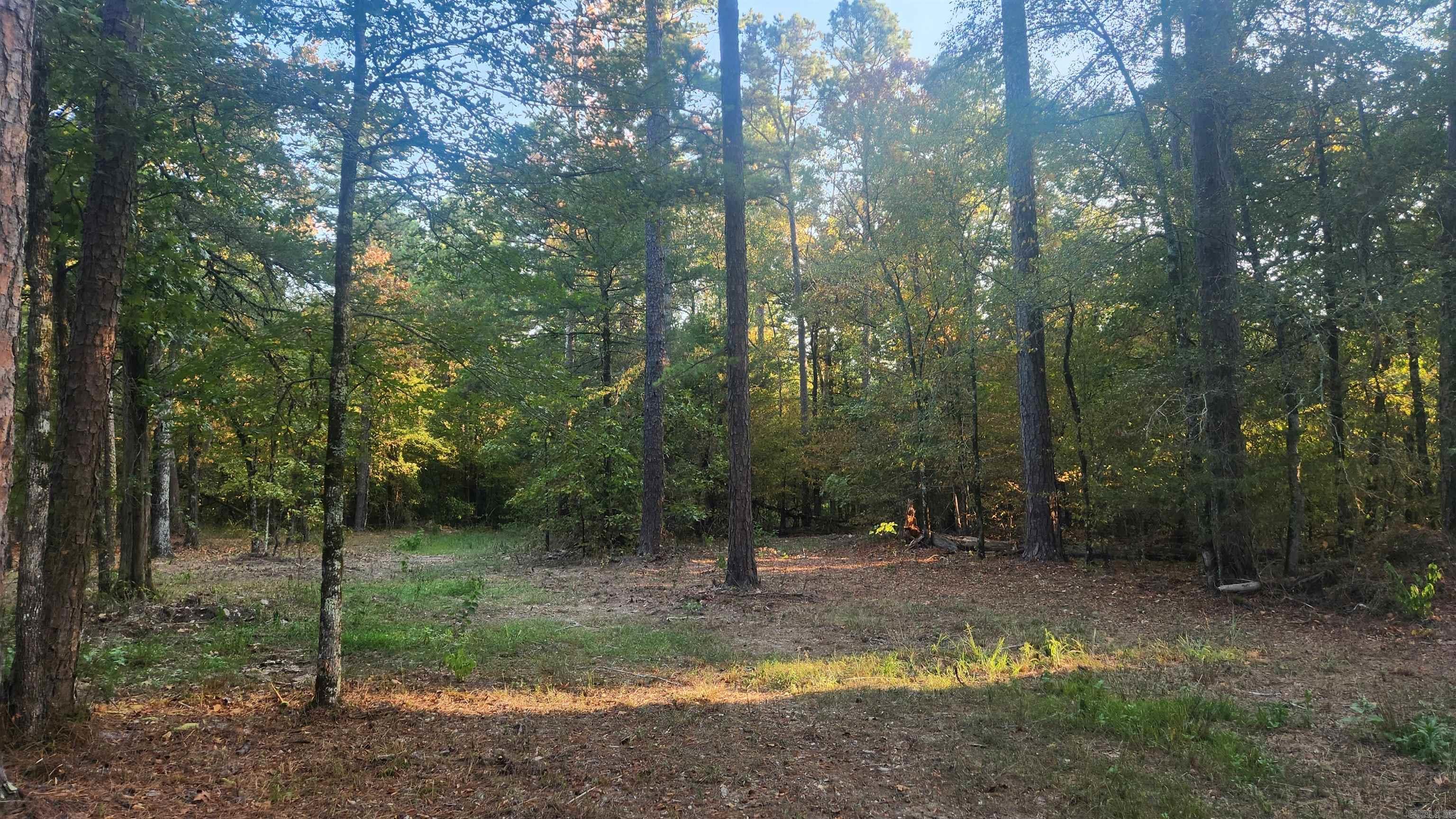 4682 E Hwy 88 Property Photo 27