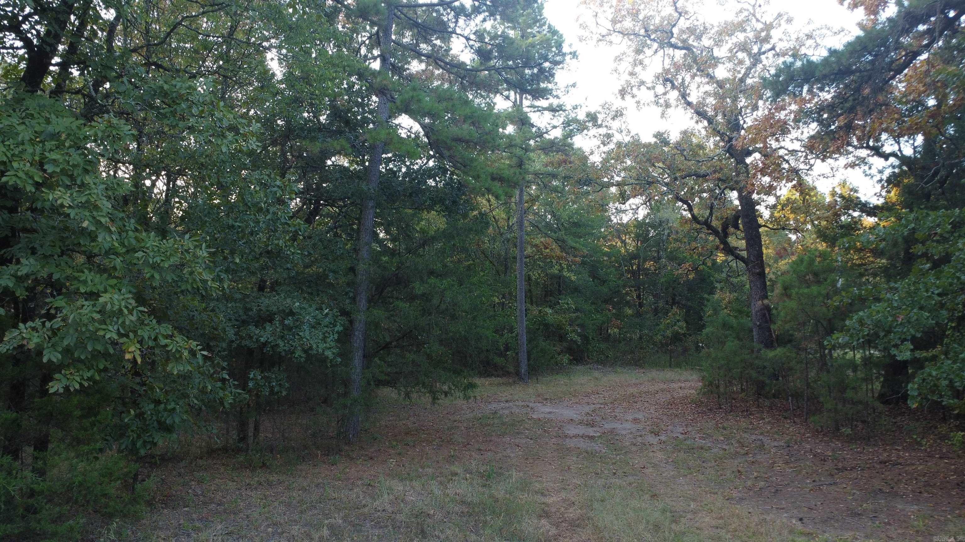 4682 E Hwy 88 Property Photo 29