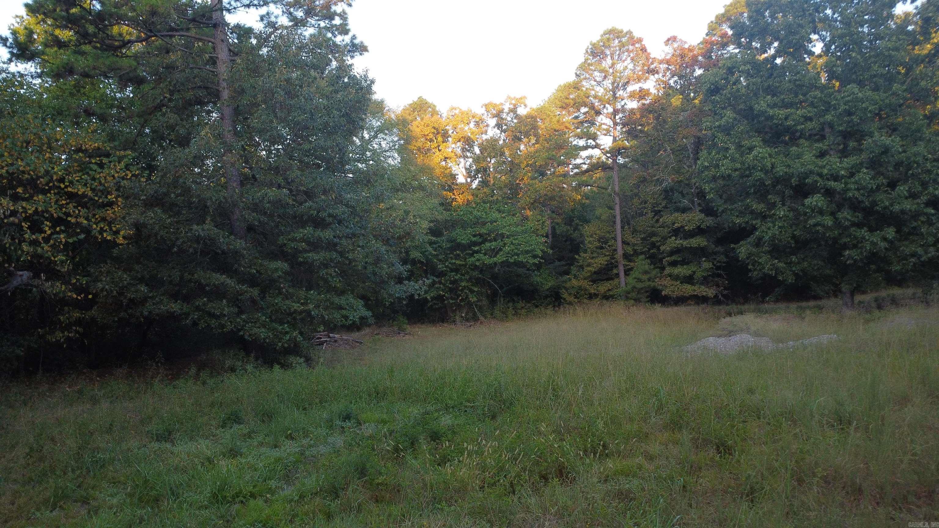 4682 E Hwy 88 Property Photo 30