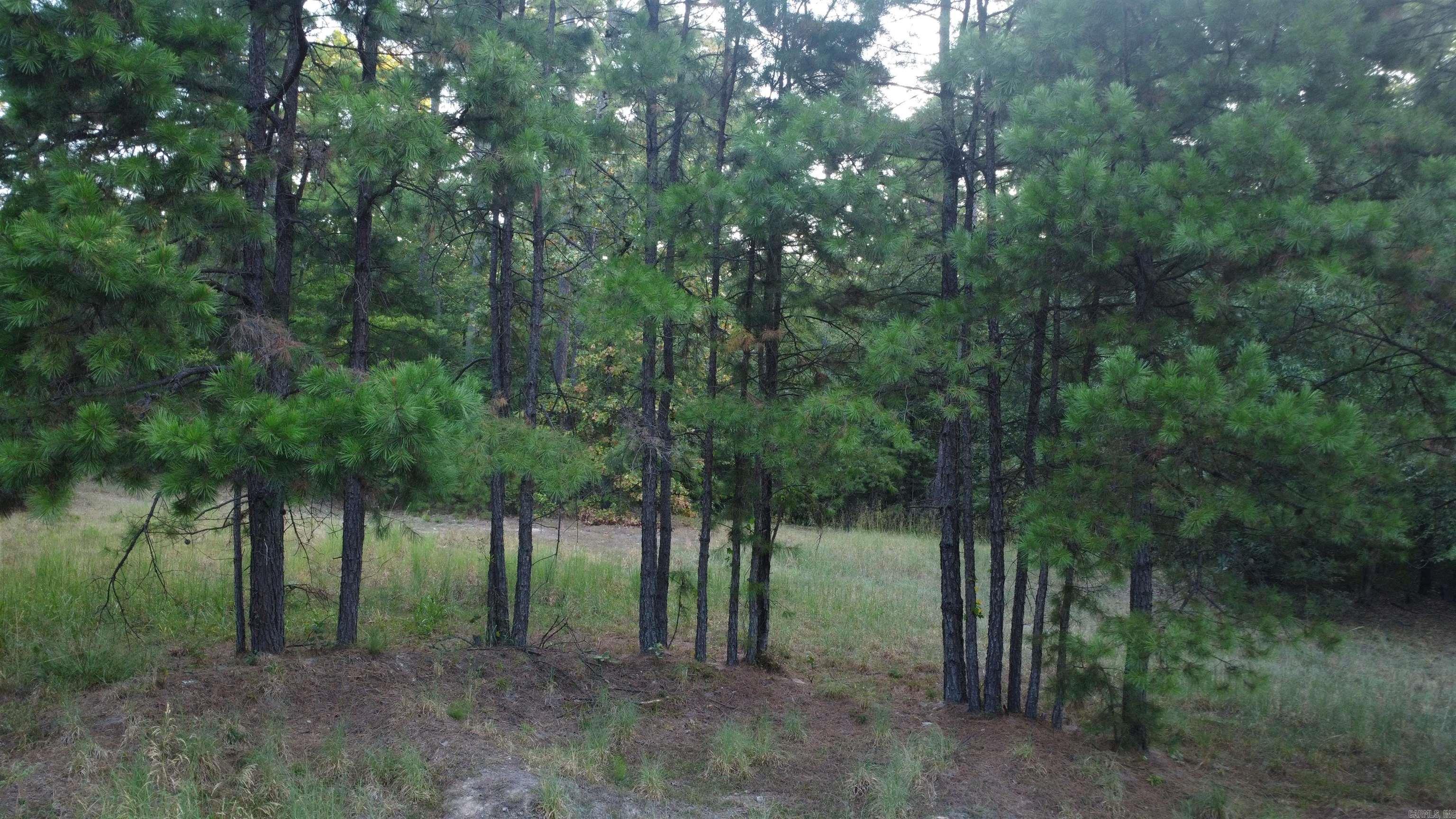 4682 E Hwy 88 Property Photo 34