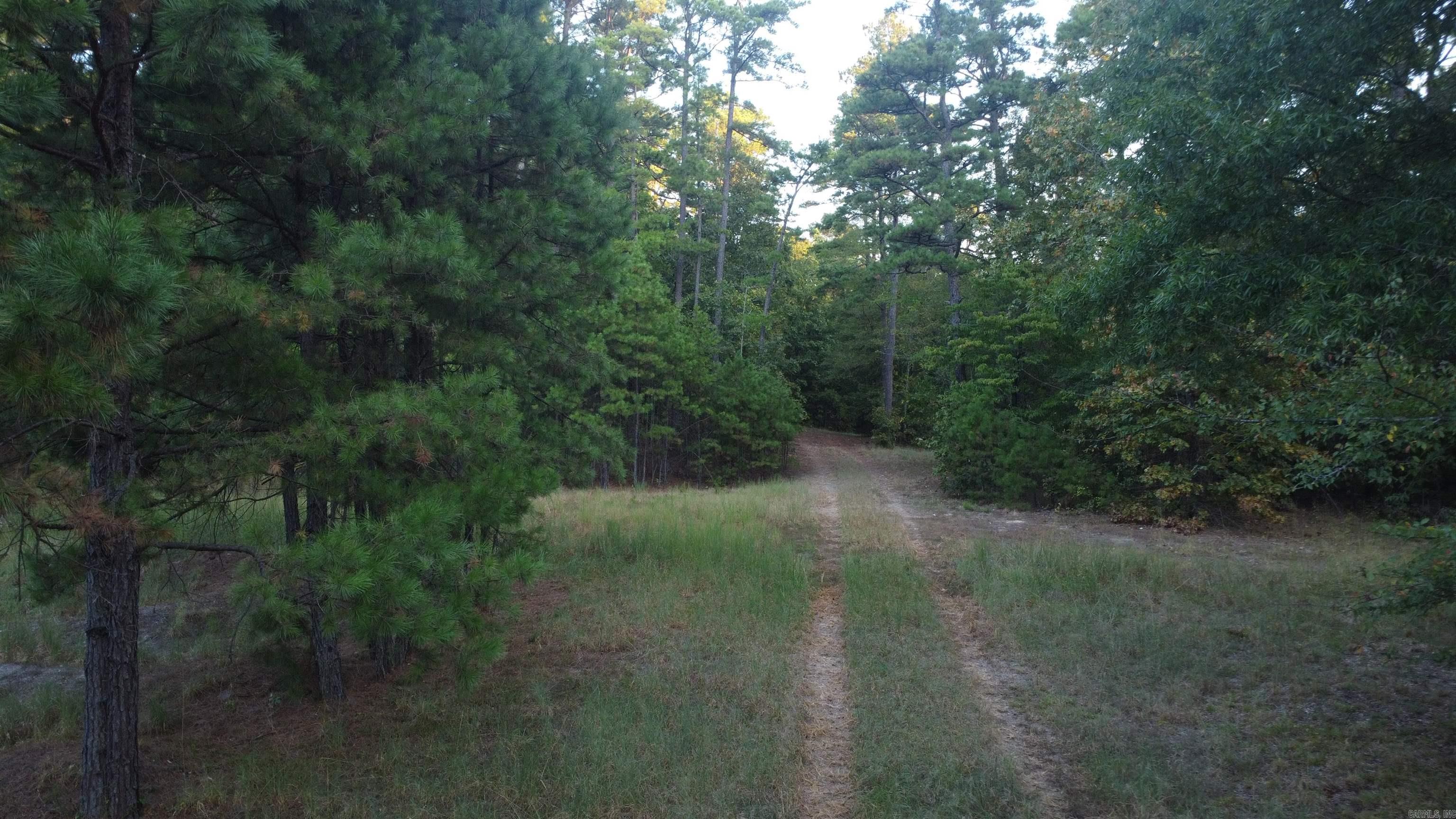 4682 E Hwy 88 Property Photo 35