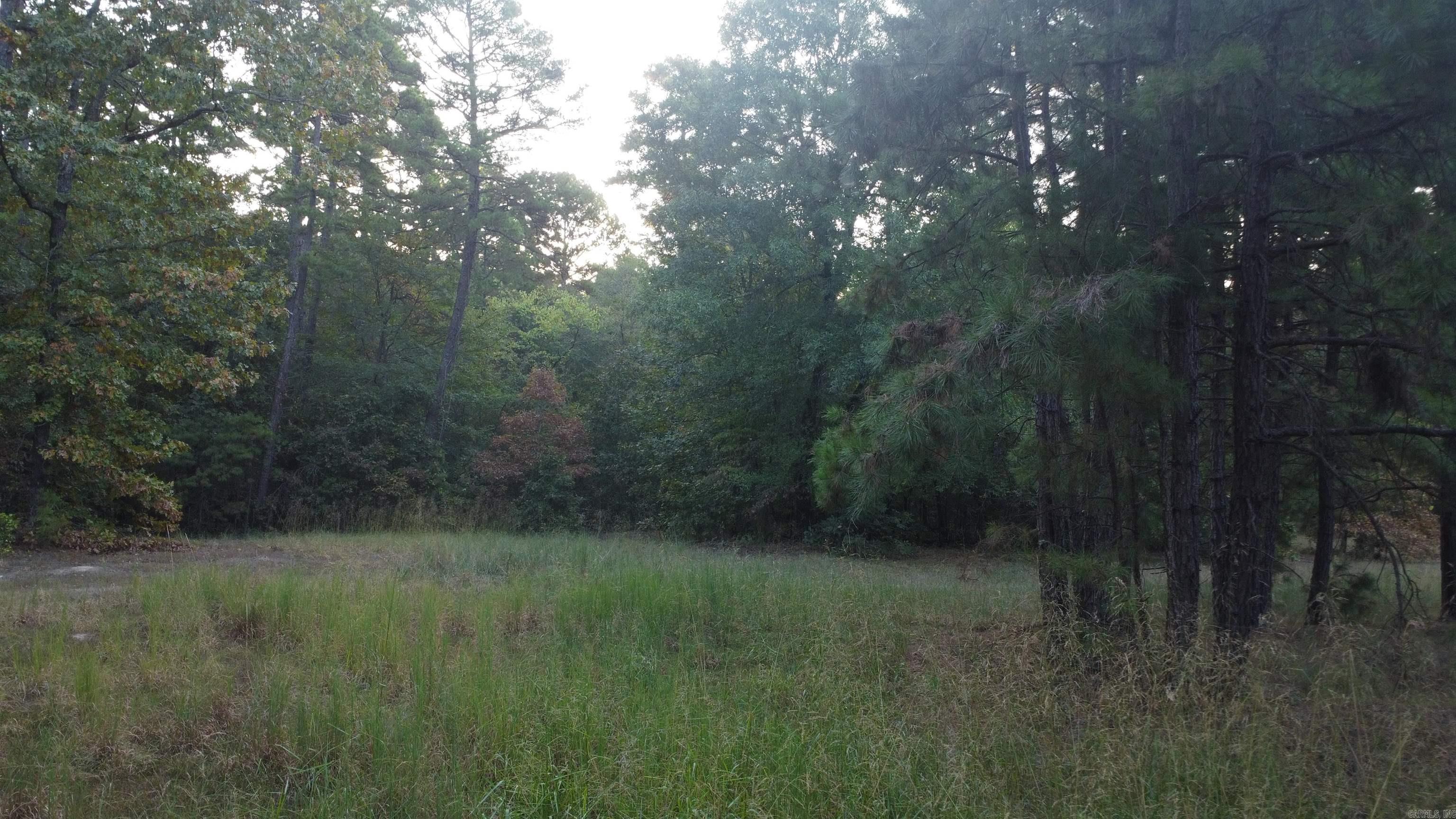 4682 E Hwy 88 Property Photo 36